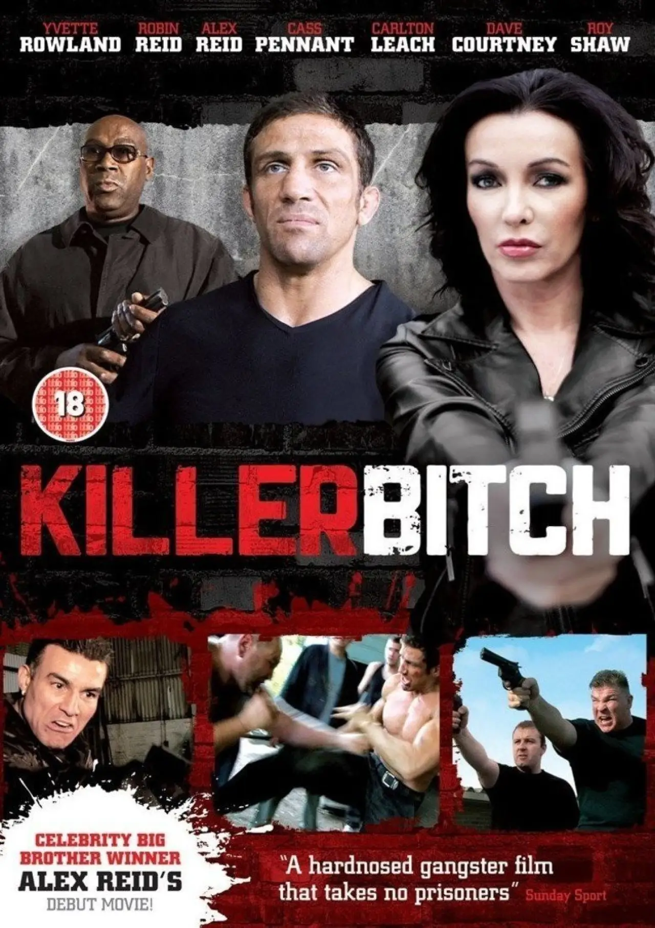 Постер к фильму "Killer Bitch"