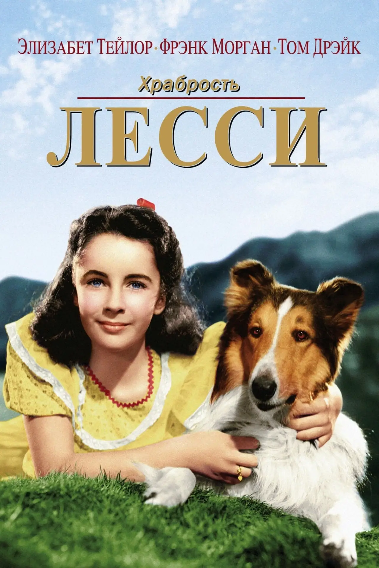 Постер к фильму "Храбрость Лесси"