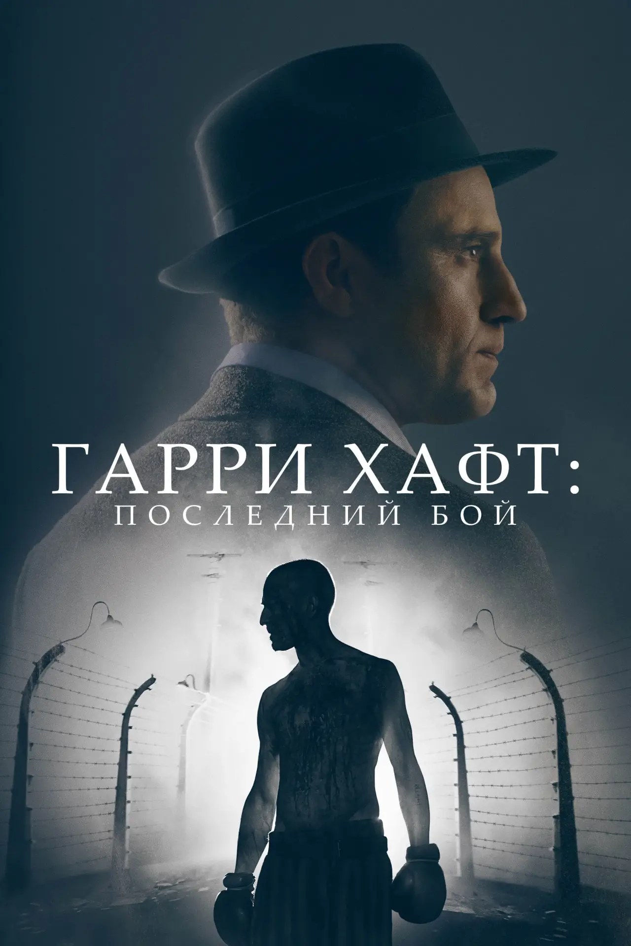 Постер к фильму "Гарри Хафт: Последний бой"