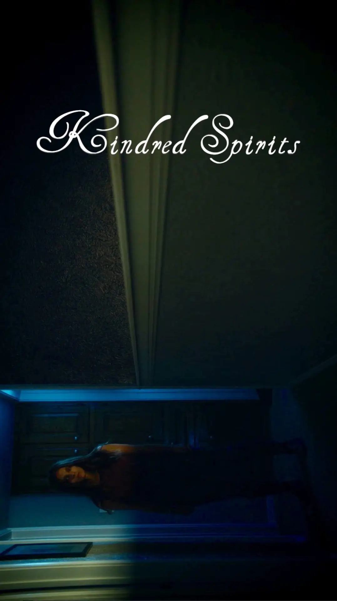 Постер к фильму "Kindred Spirits"