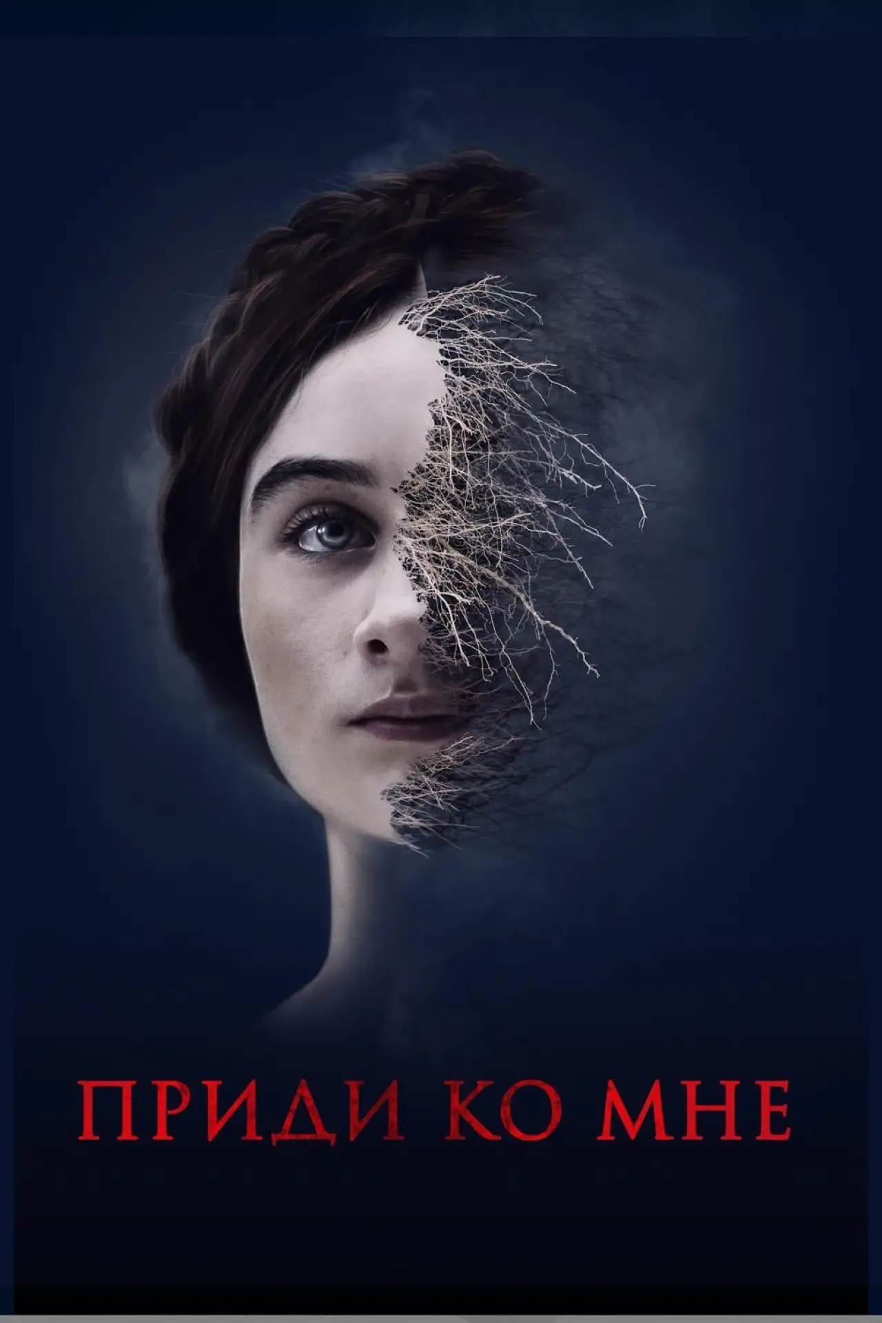 Постер к фильму "Приди ко мне"