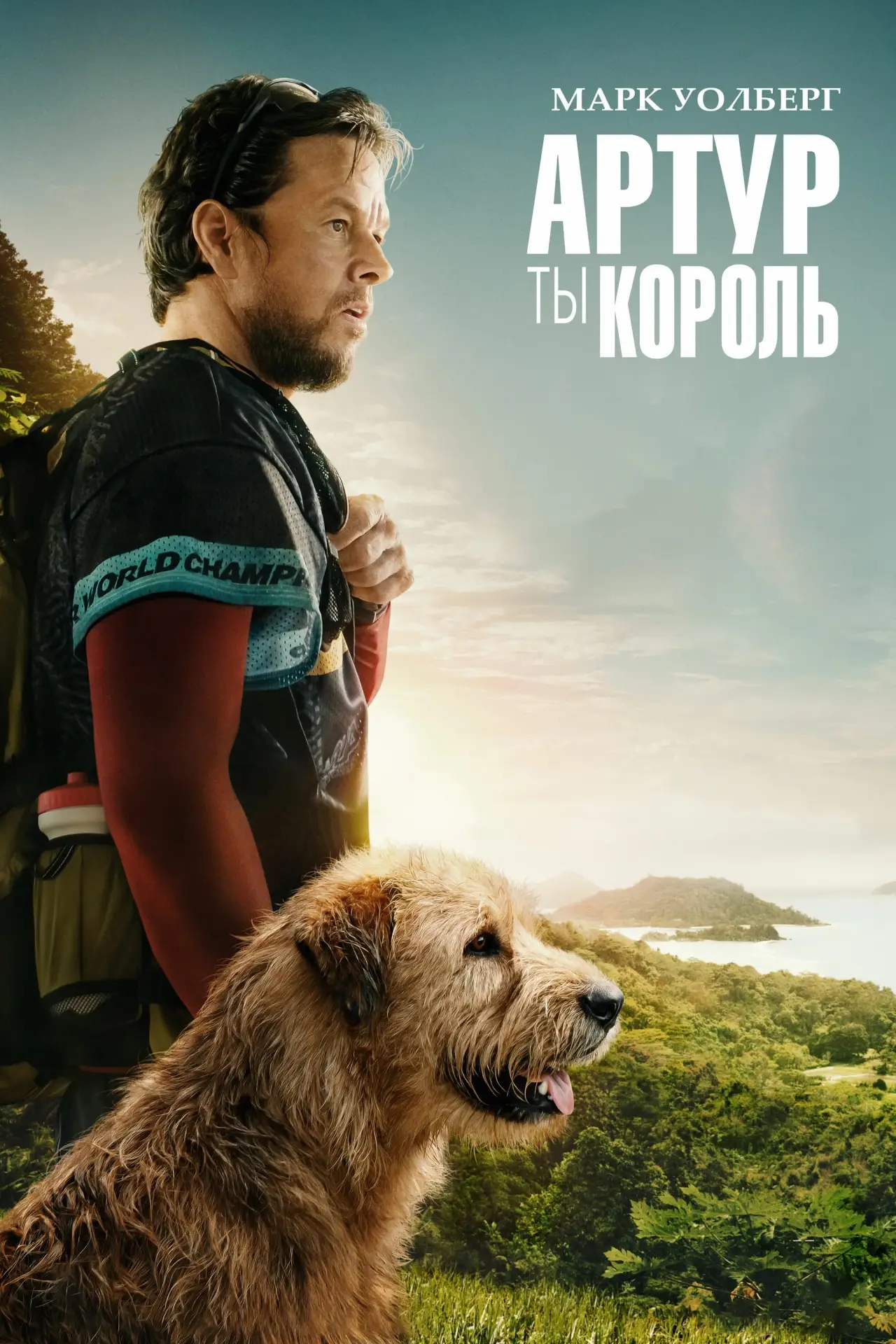 Постер к фильму "Артур, ты король"