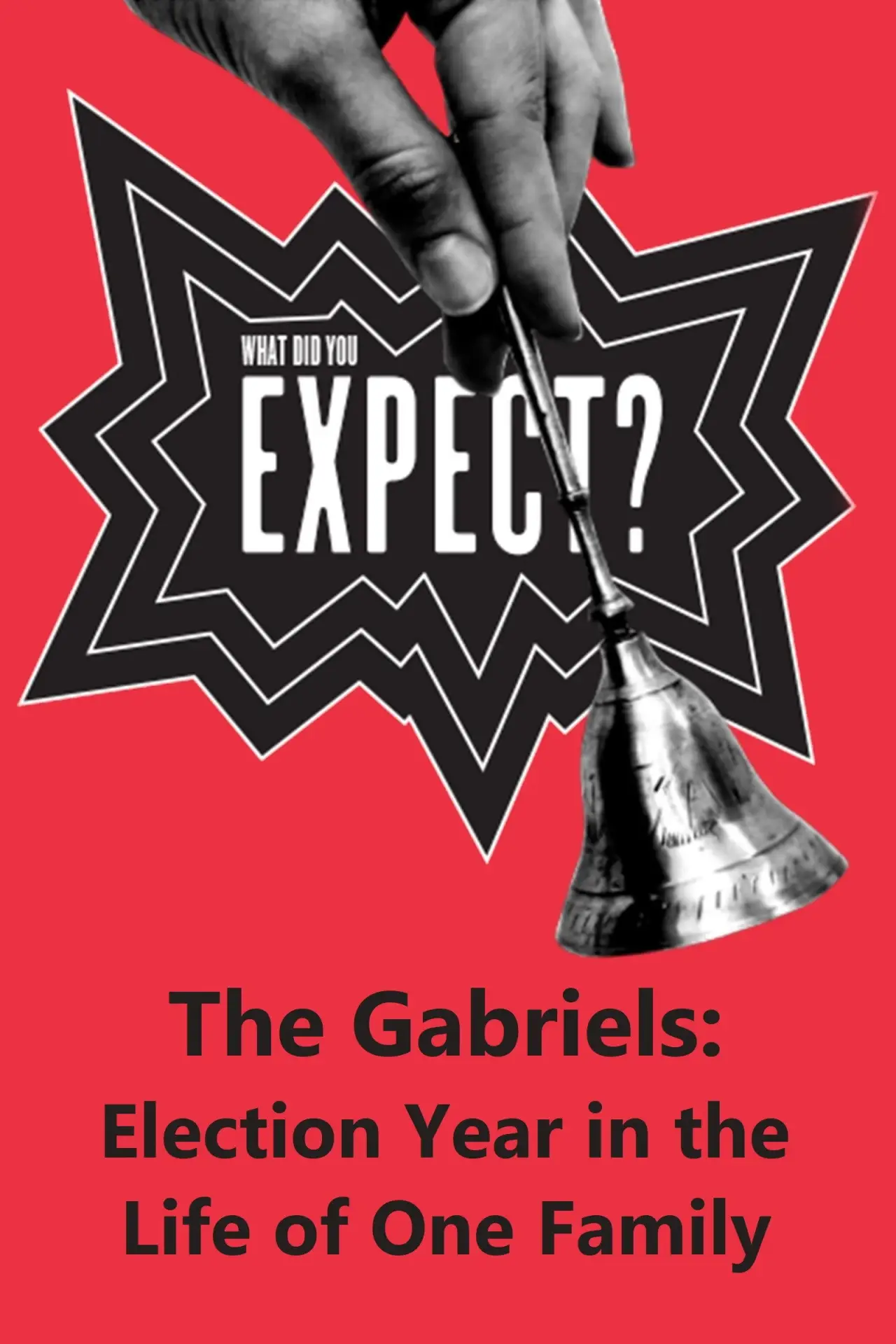 Постер к фильму "The Gabriels: Election Year in the Life of One Family, Play Two: What Did You Expect?"