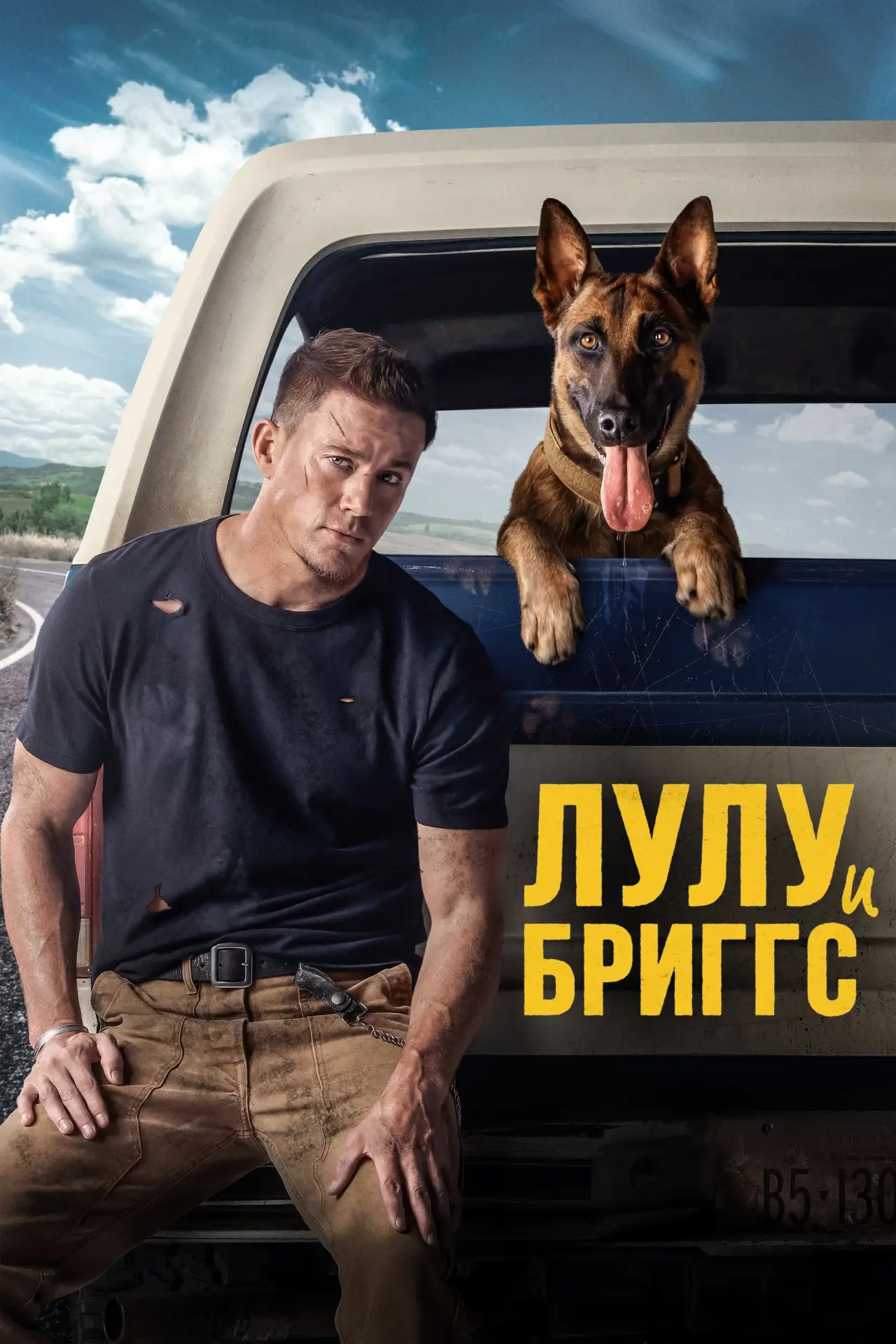 Постер к фильму "Лулу и Бриггс"
