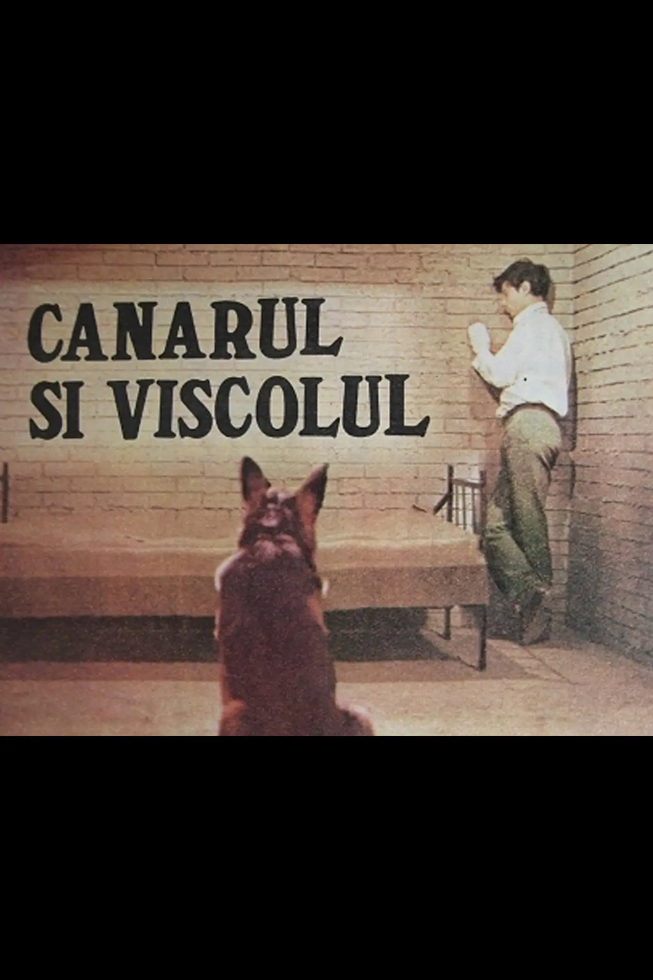 Постер к фильму "Canarul și viscolul"