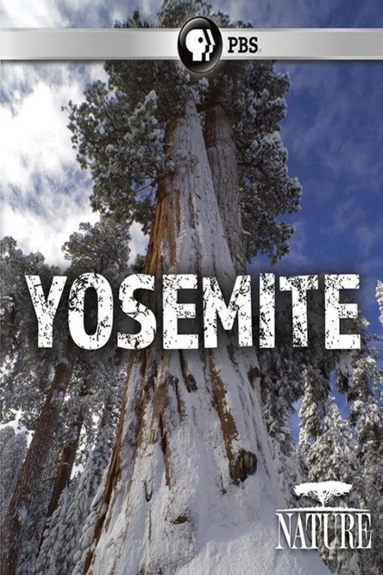 Постер к фильму "Nature: Yosemite"