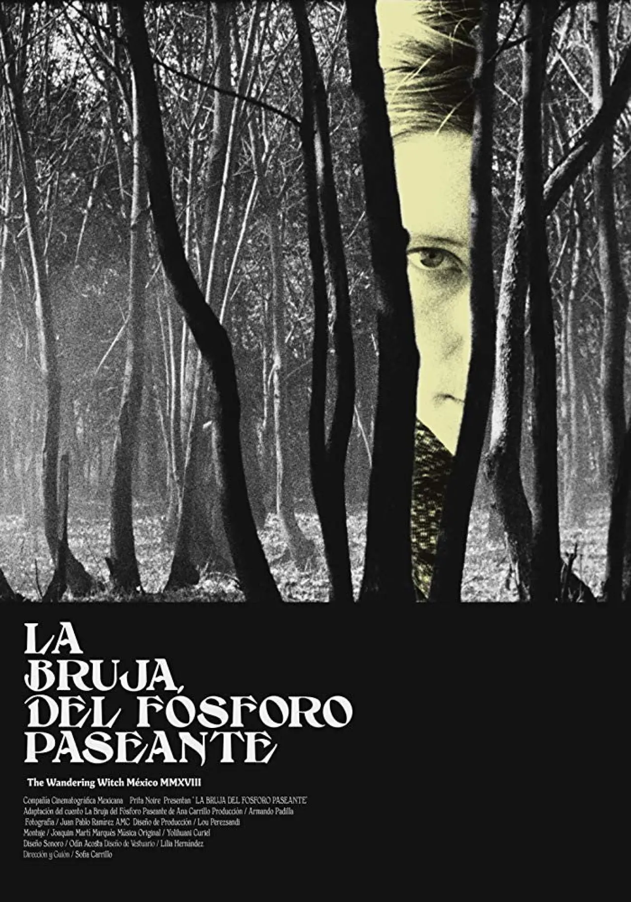 Постер к фильму "La bruja del fósforo paseante"