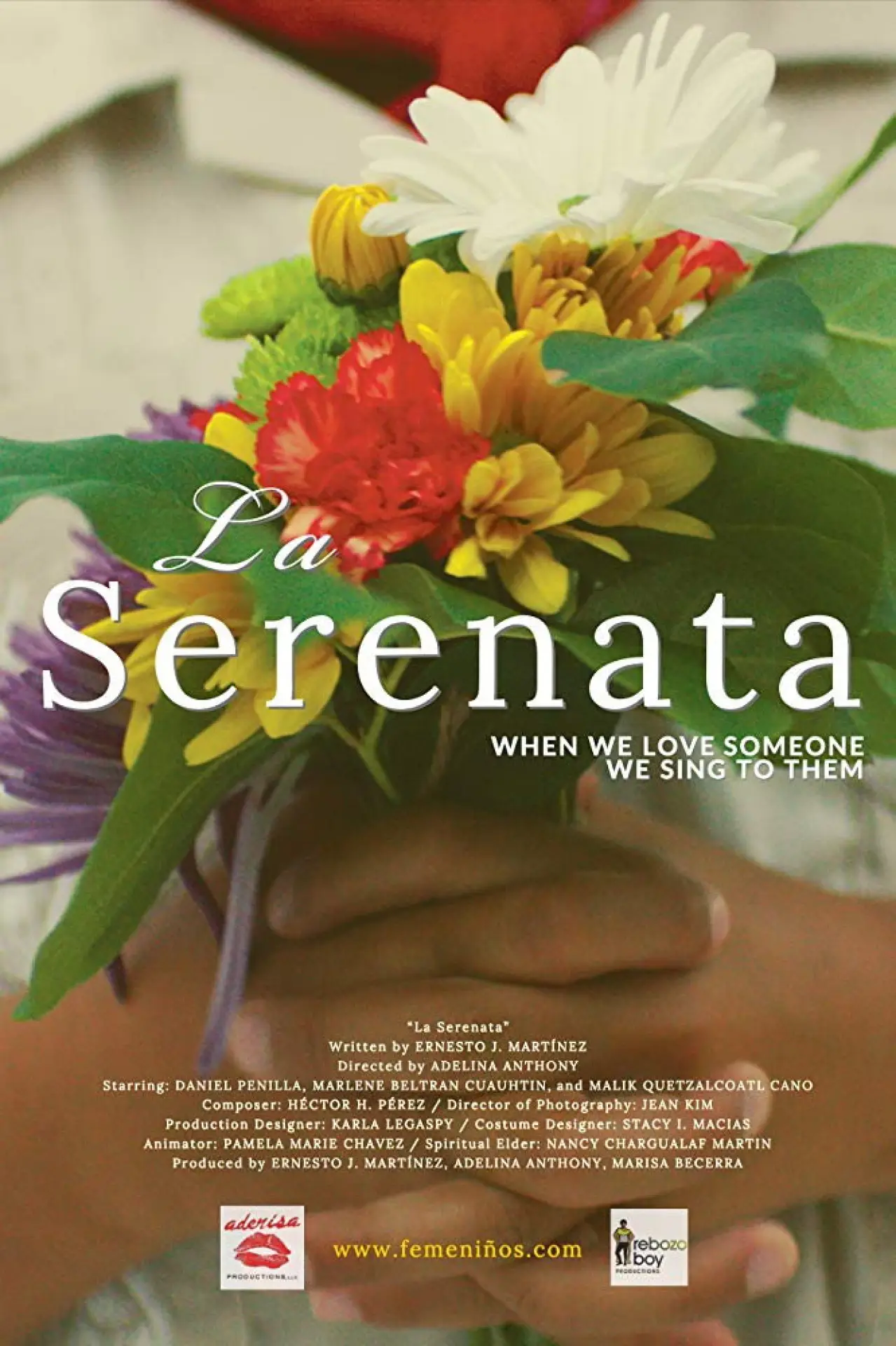 Постер к фильму "La serenata"