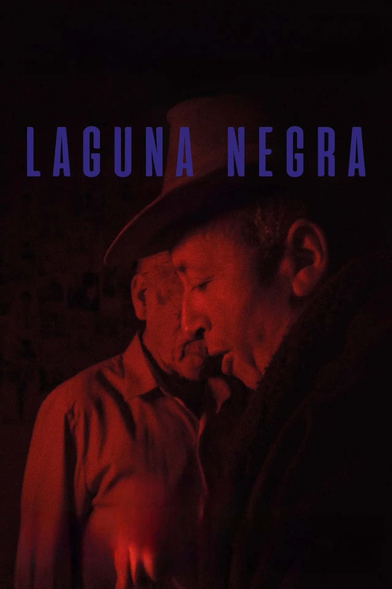 Постер к фильму "Laguna negra"