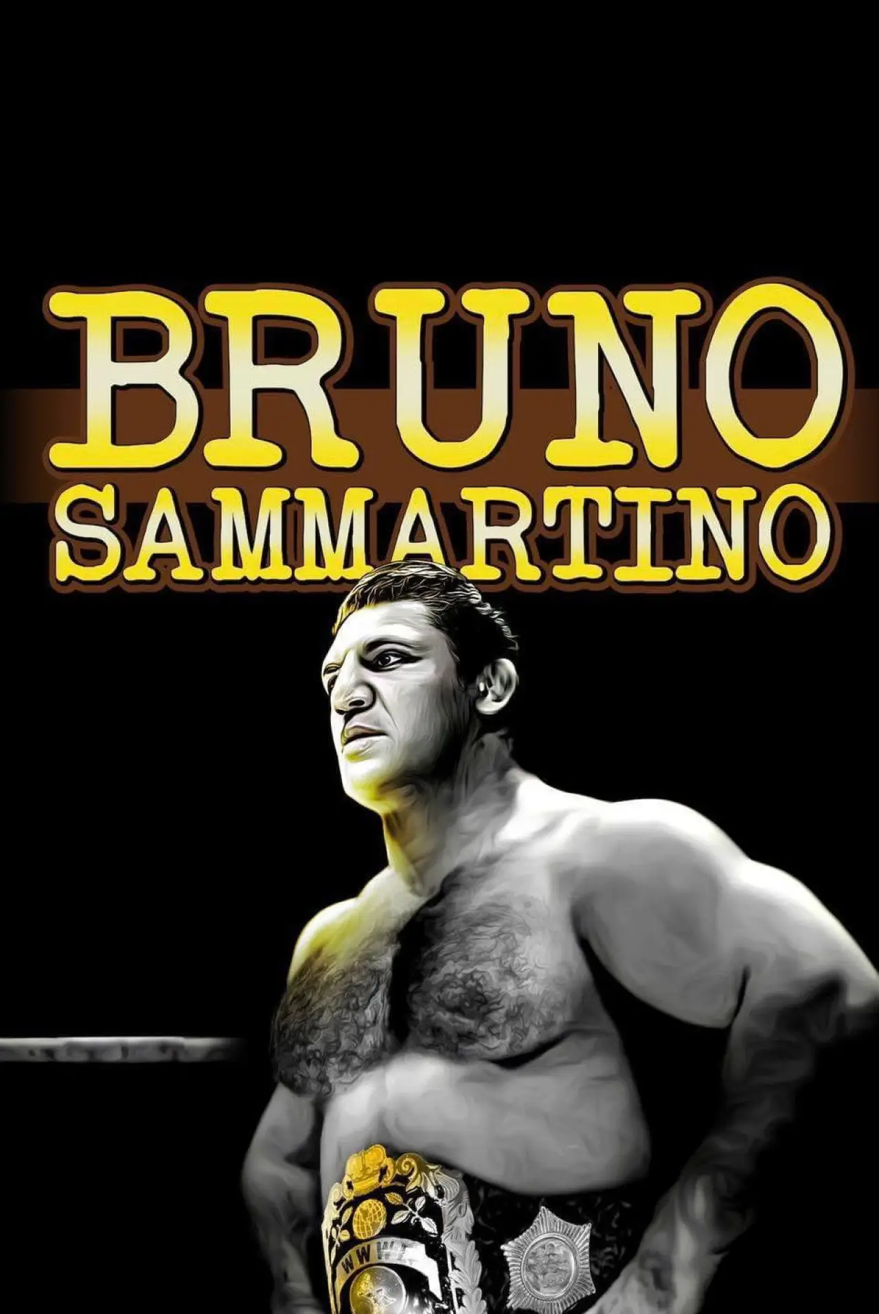 Постер к фильму "Bruno Sammartino, La Mia Mama"