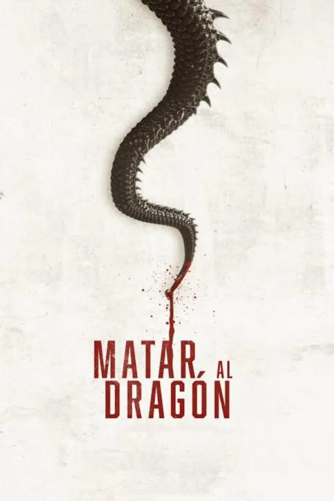 Постер к фильму "Matar al dragón"