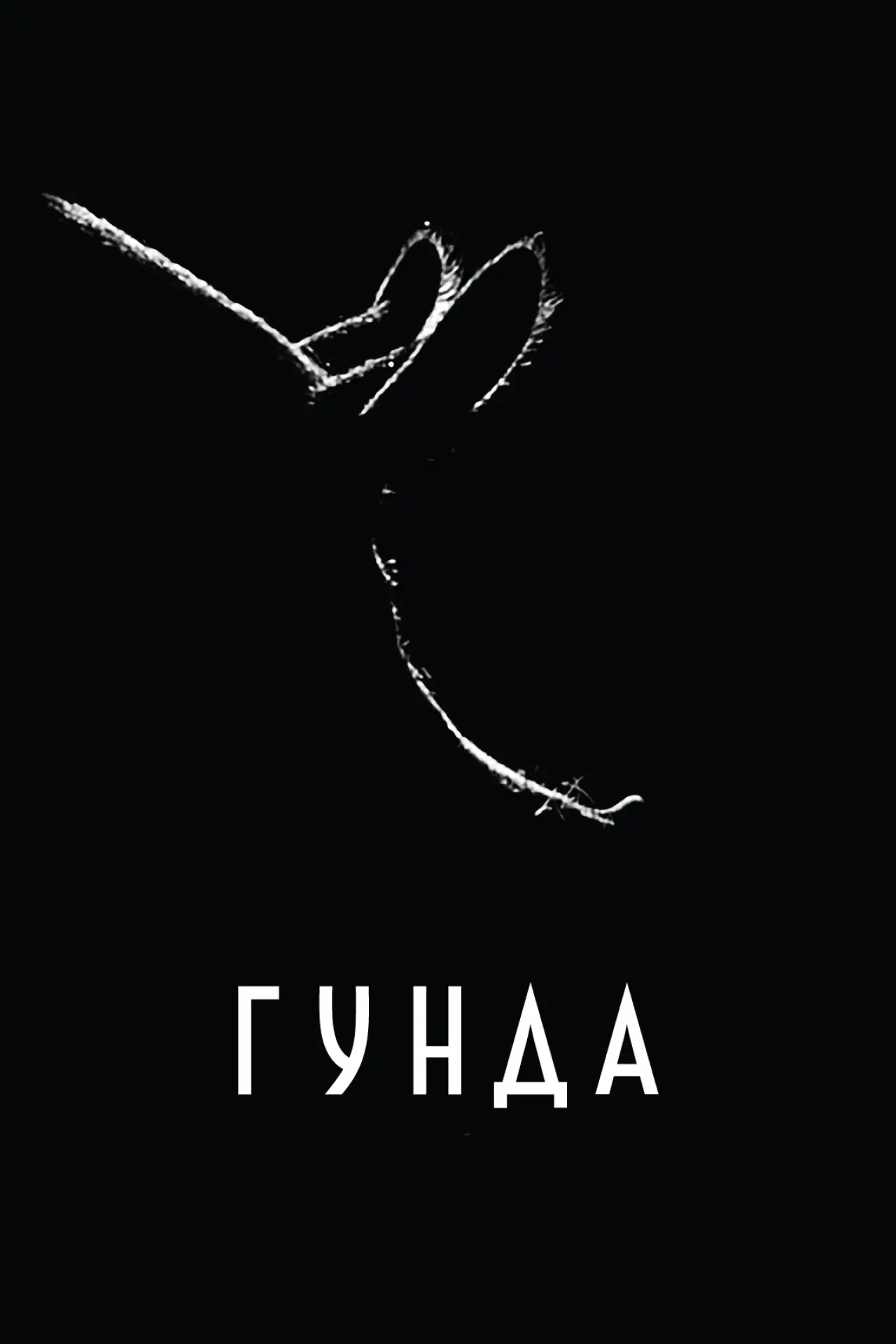Постер к фильму "Гунда"