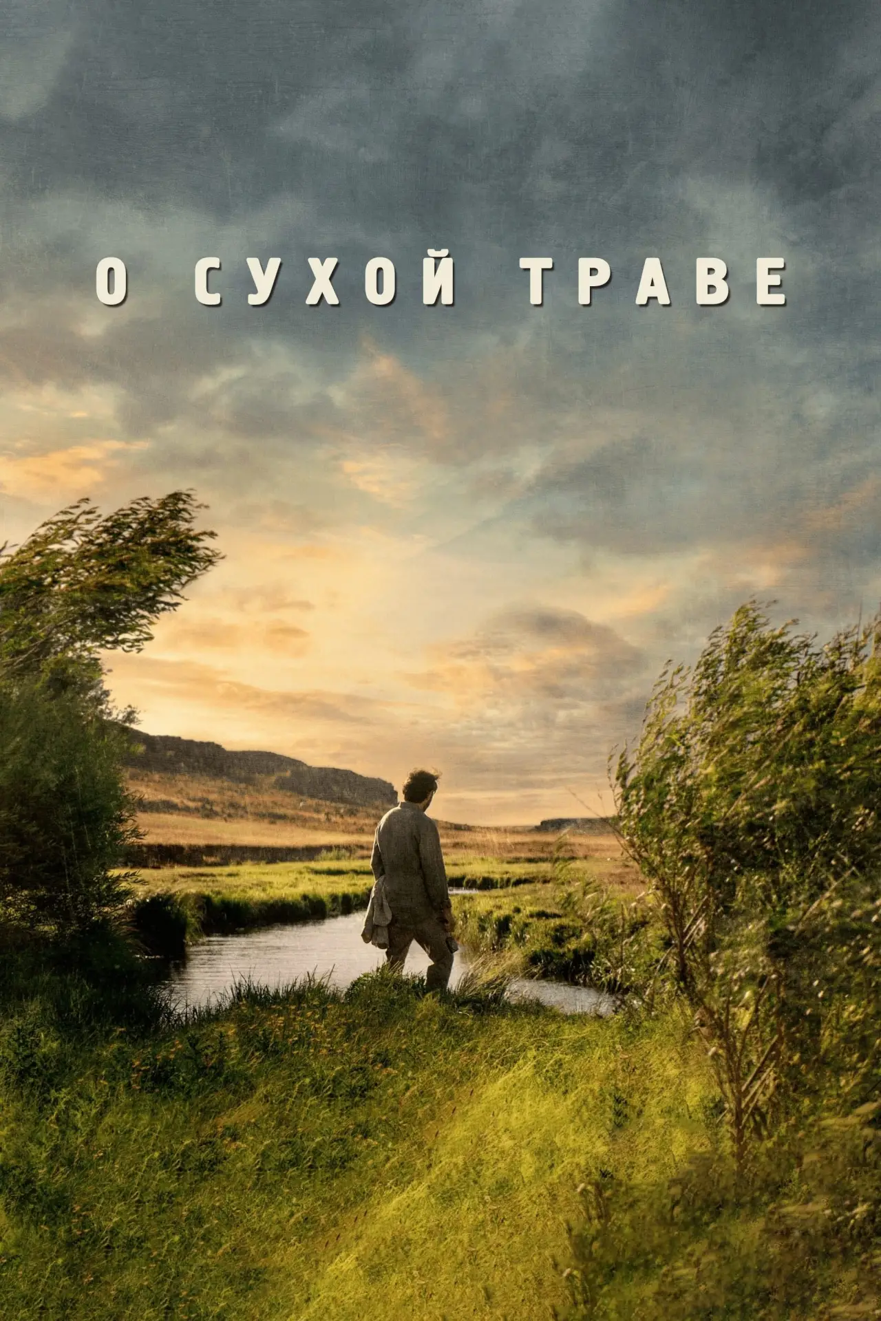 Постер к фильму "О сухой траве"