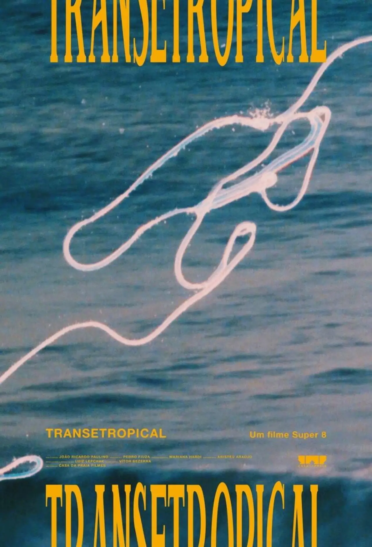 Постер к фильму "Transetropical"