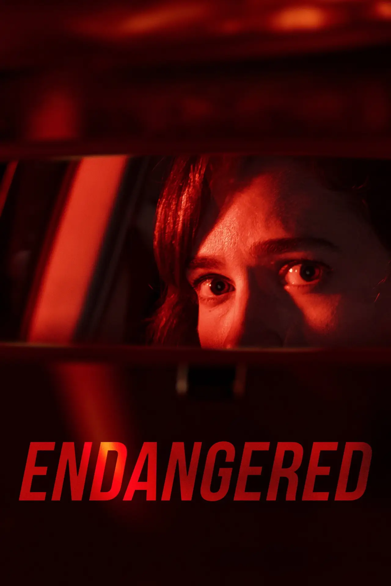 Постер к фильму "Endangered"