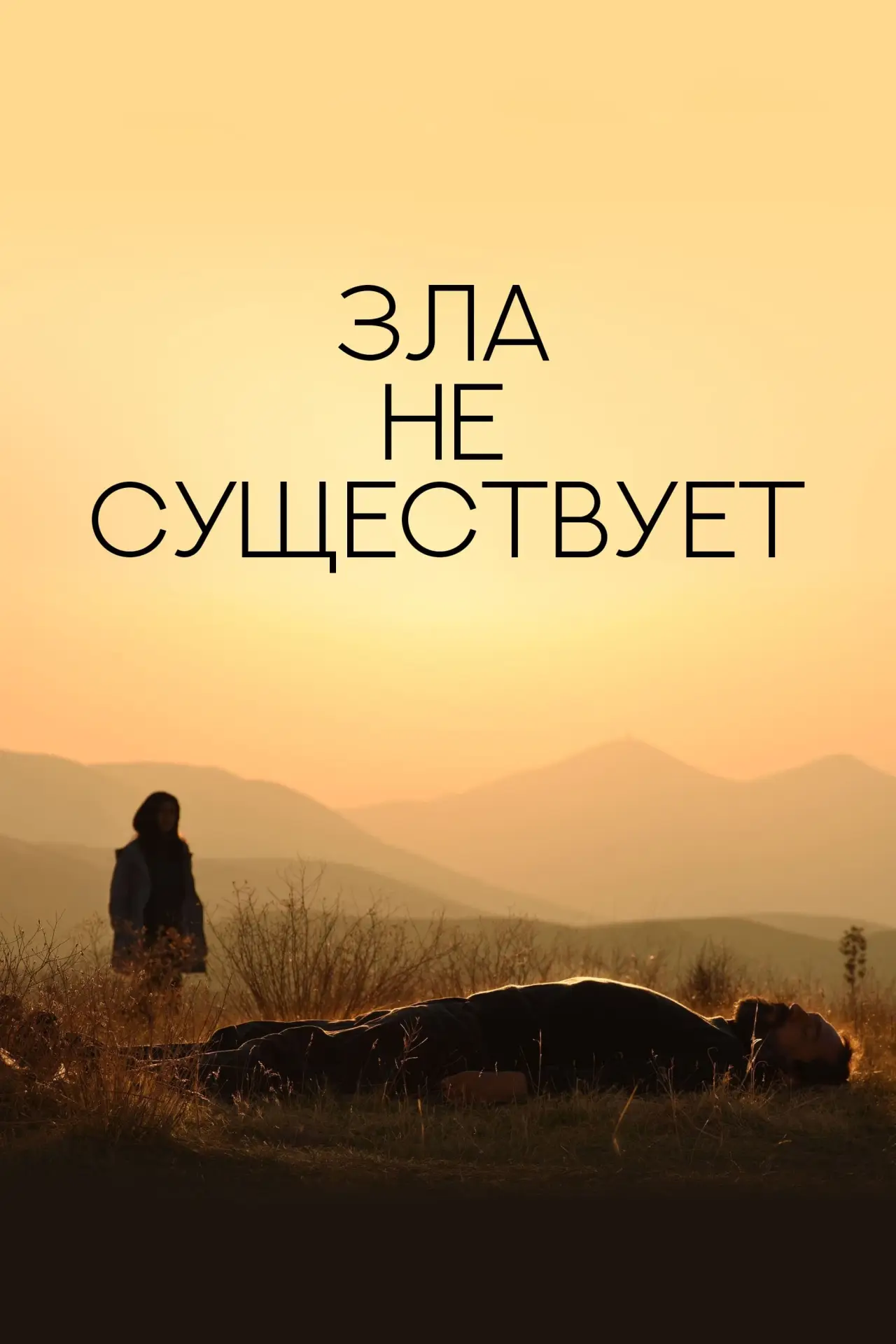 Постер к фильму "Зла не существует"