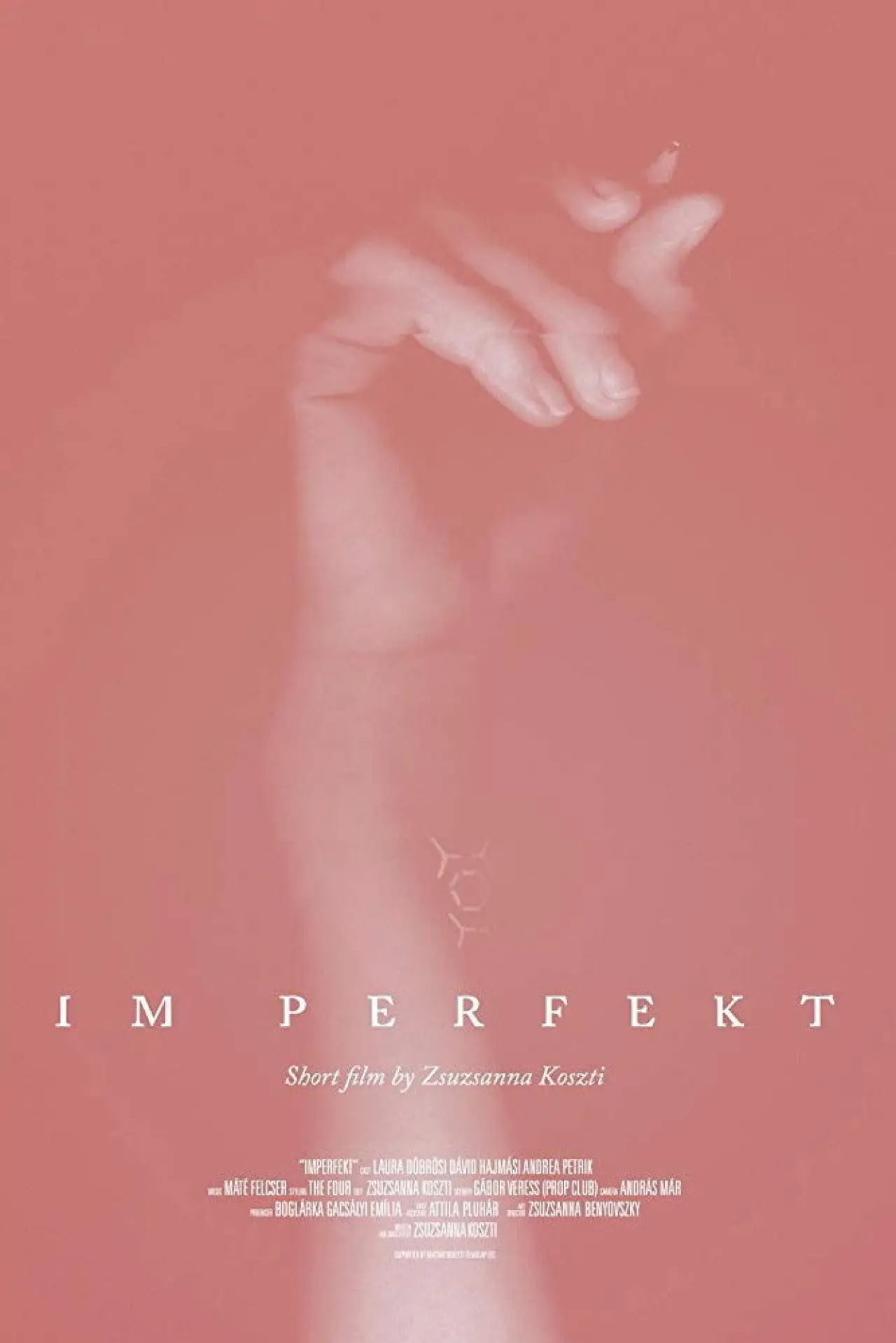 Постер к фильму "IM Perfekt"