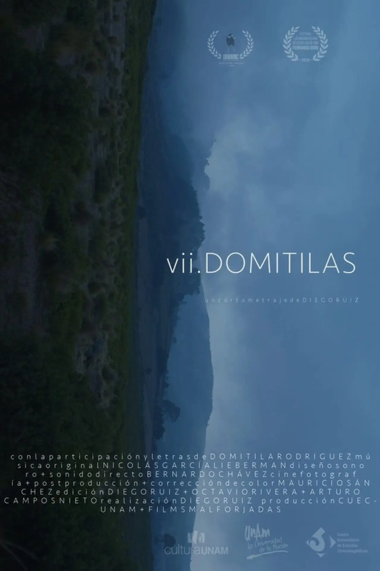 Постер к фильму "VII Domitilas"