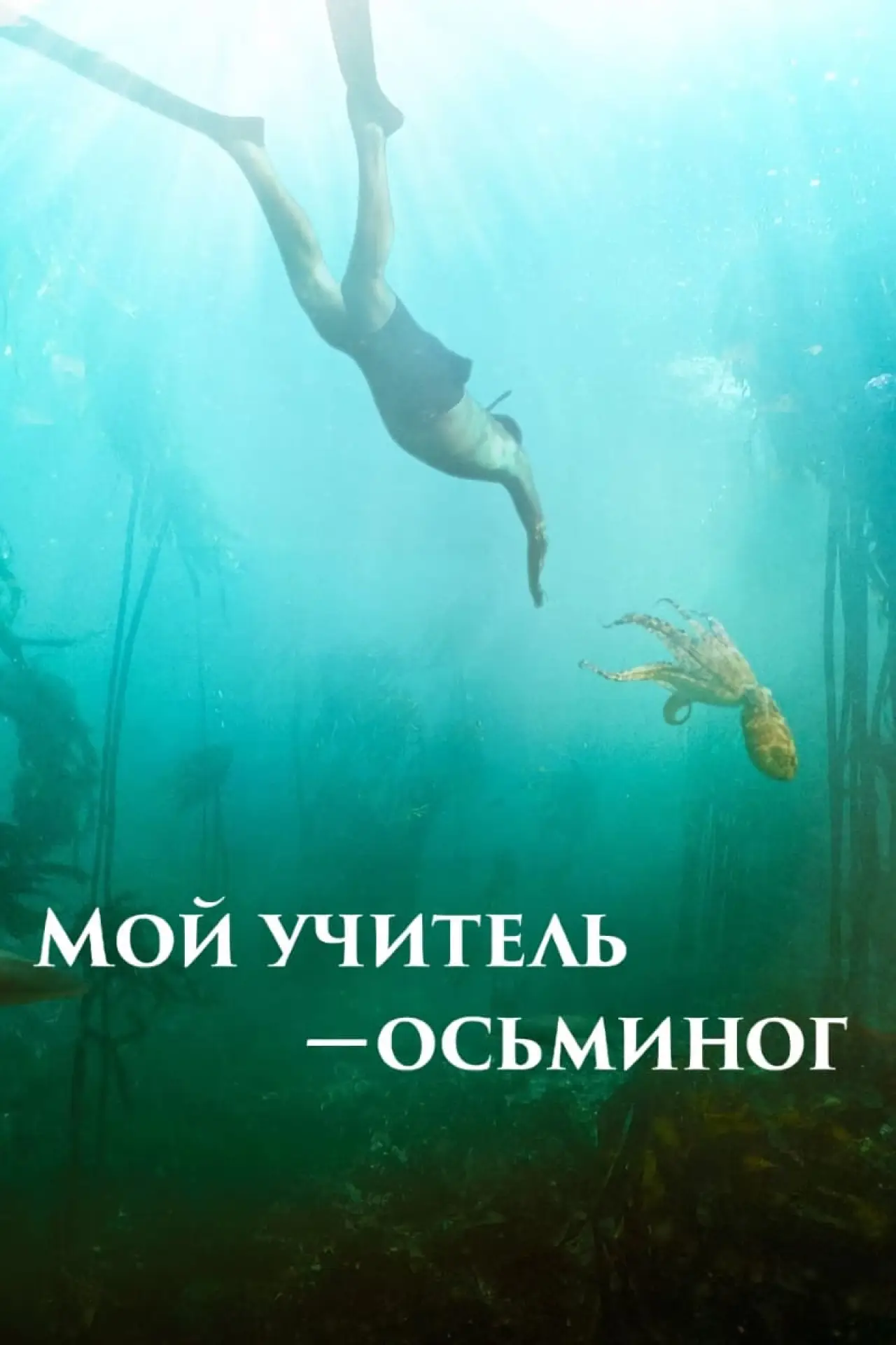 Постер к фильму "Мой учитель – осьминог"