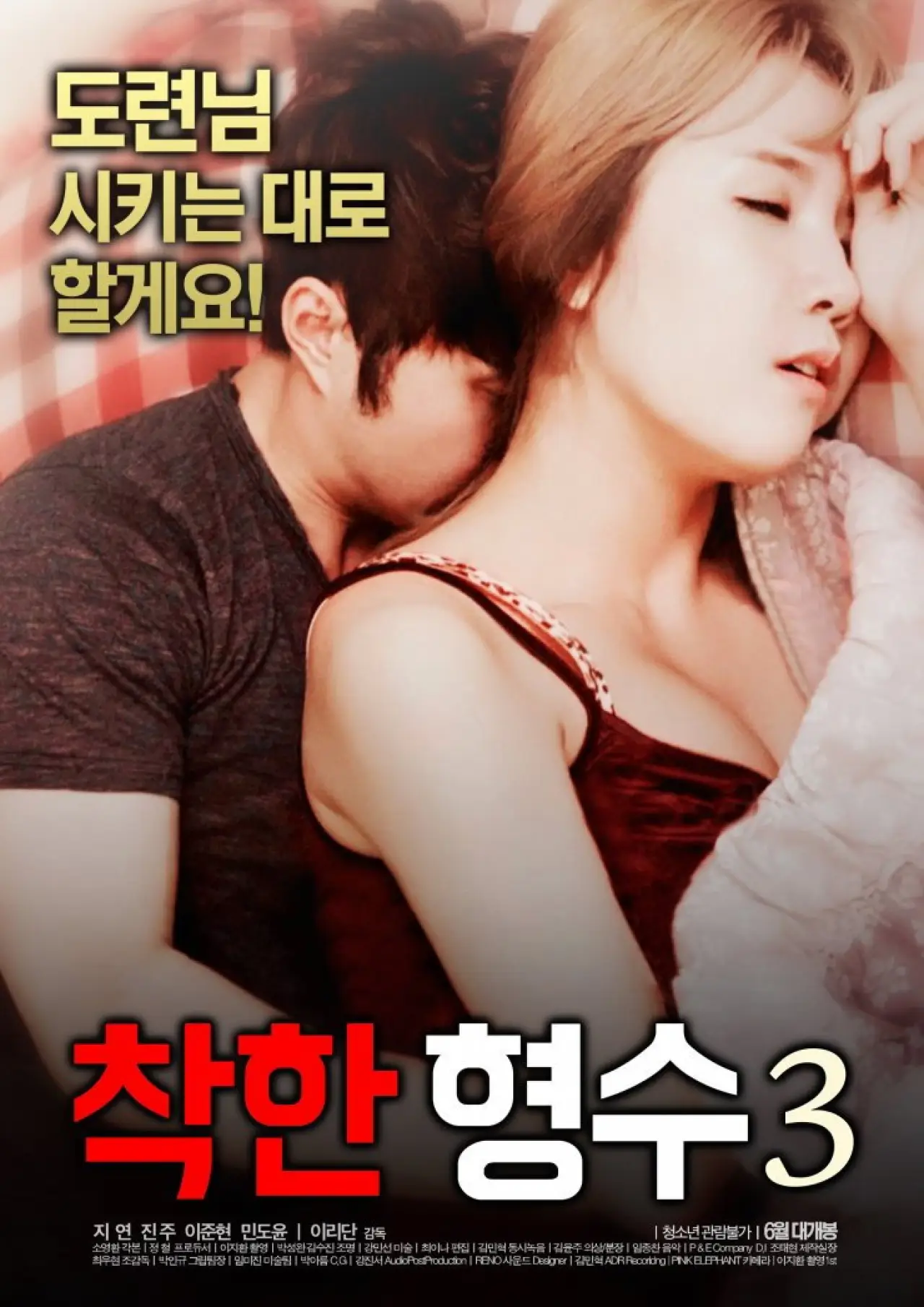 Постер к фильму "착한형수3"