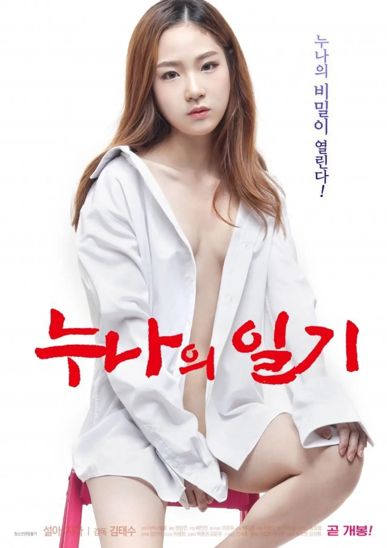 Постер к фильму "누나의 일기"