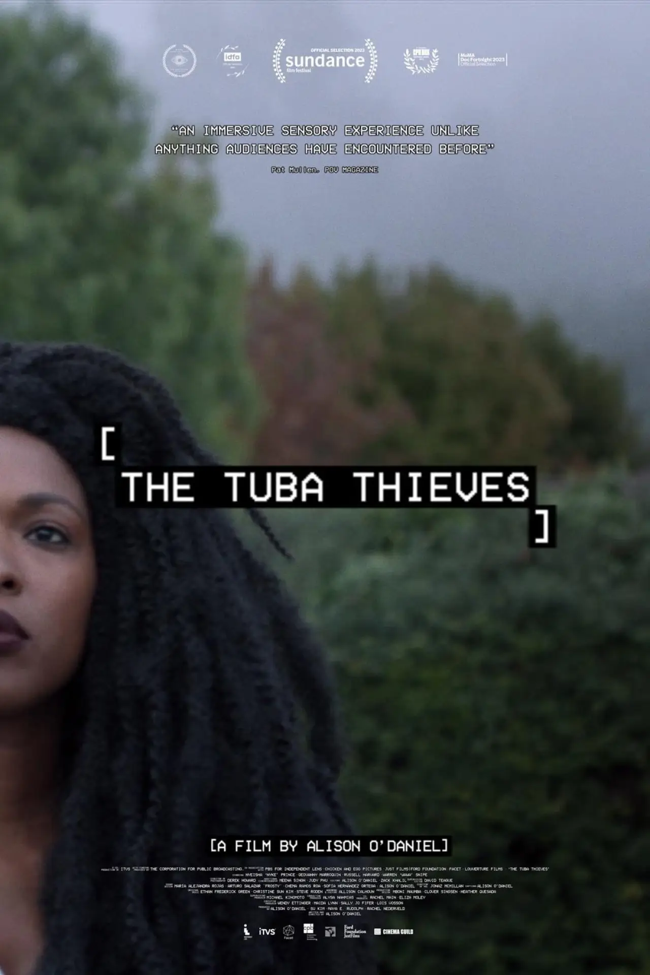 Постер к фильму "The Tuba Thieves"