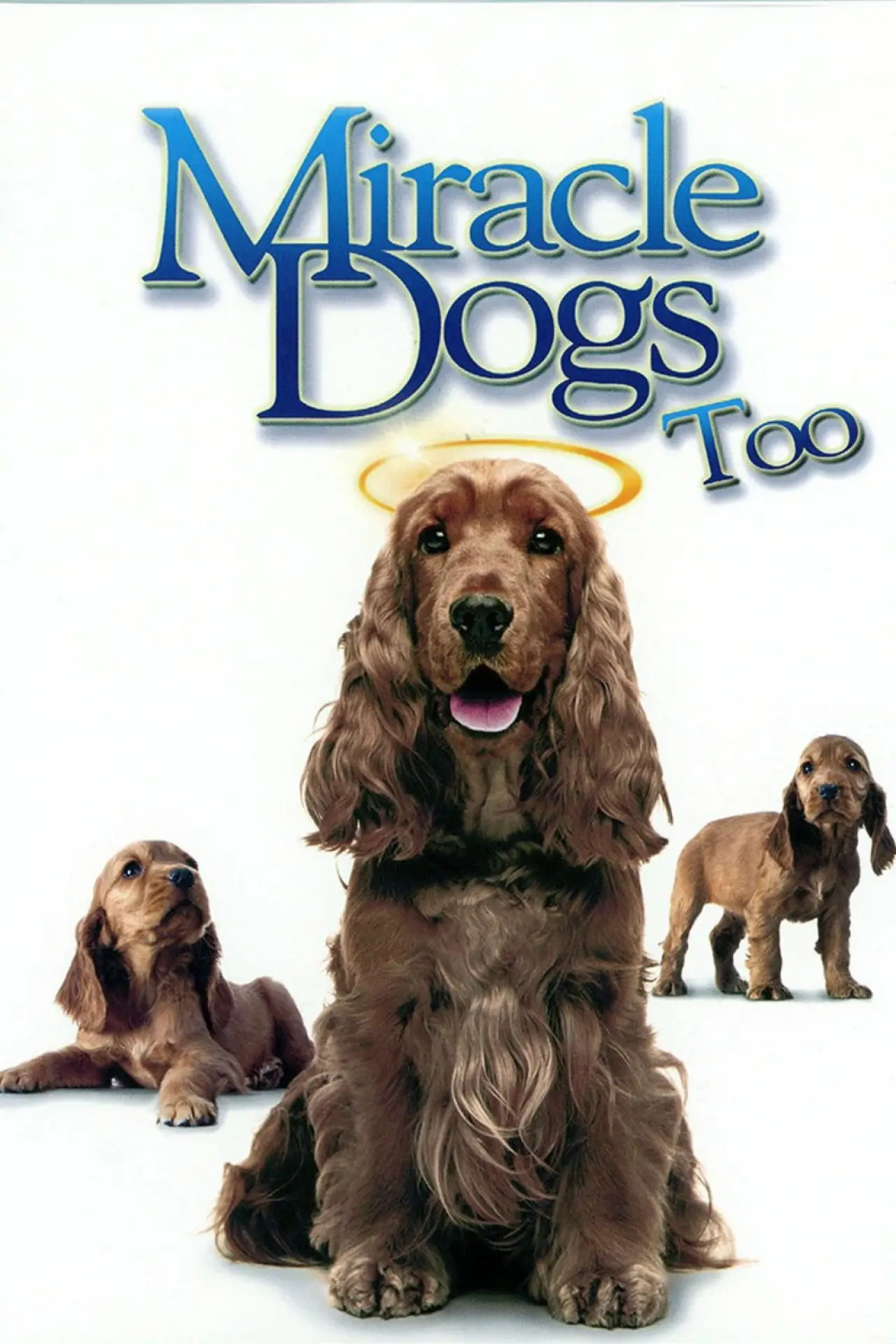 Постер к фильму "Miracle Dogs Too"