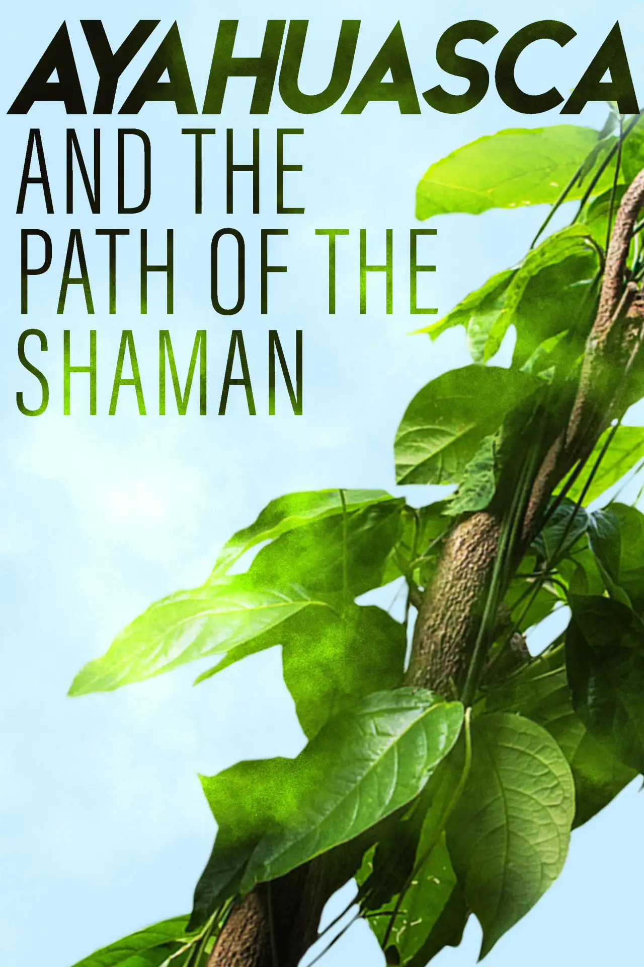 Постер к фильму "Ayahuasca and the Path of the Shaman"
