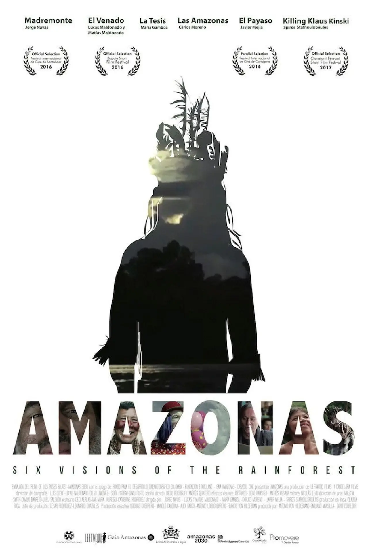 Постер к фильму "Amazonas"
