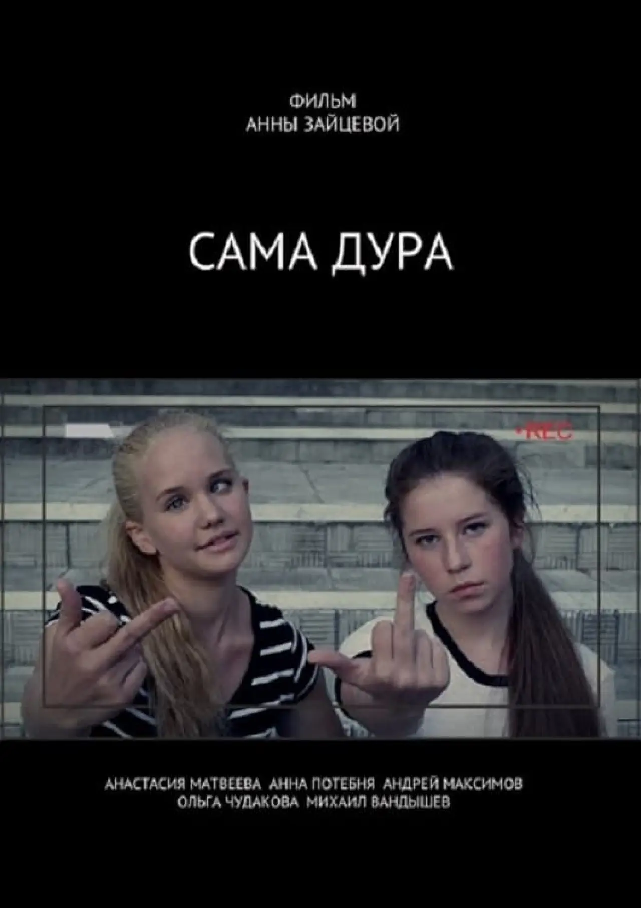 Постер к фильму "Сама дура"