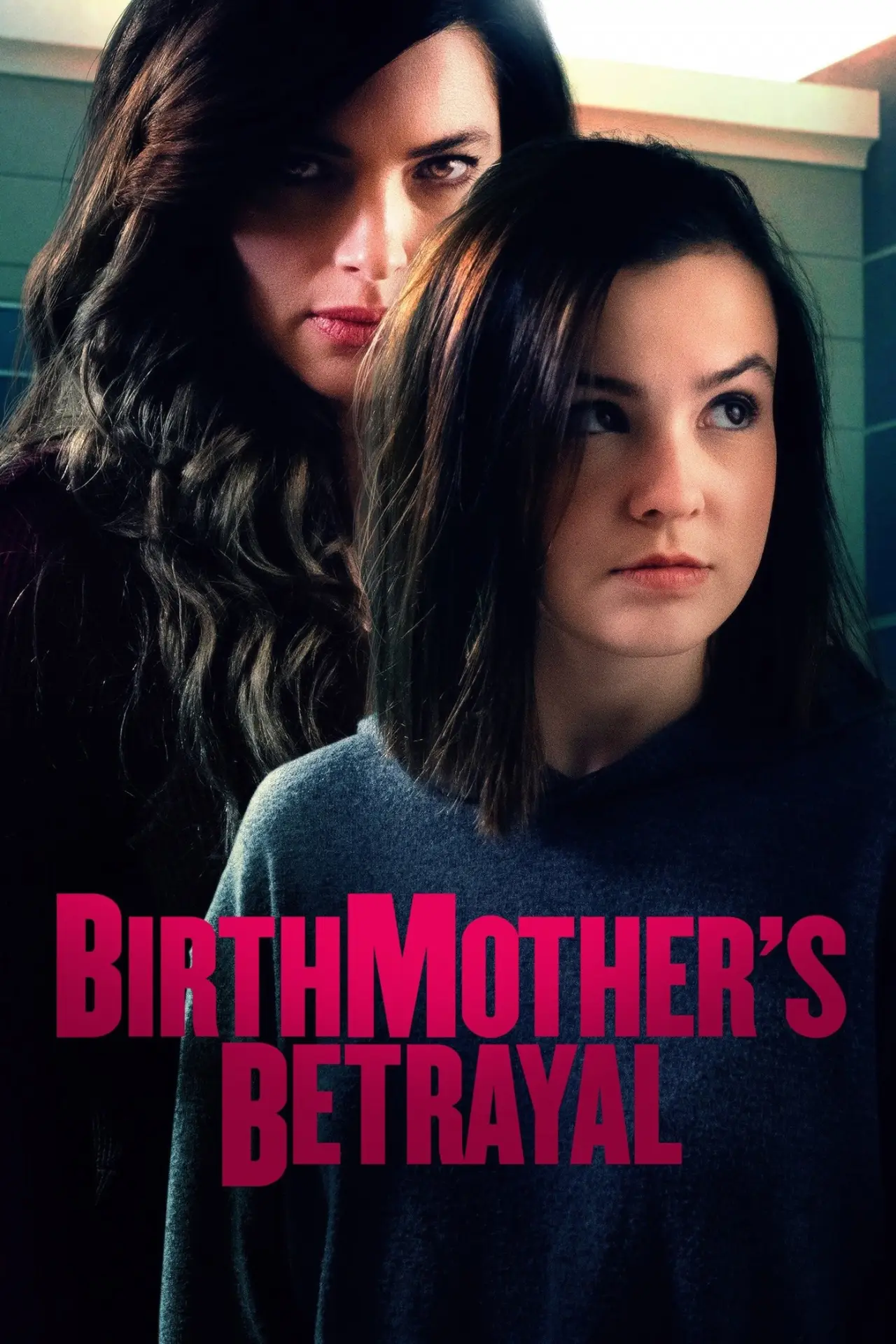 Постер к фильму "Birthmother