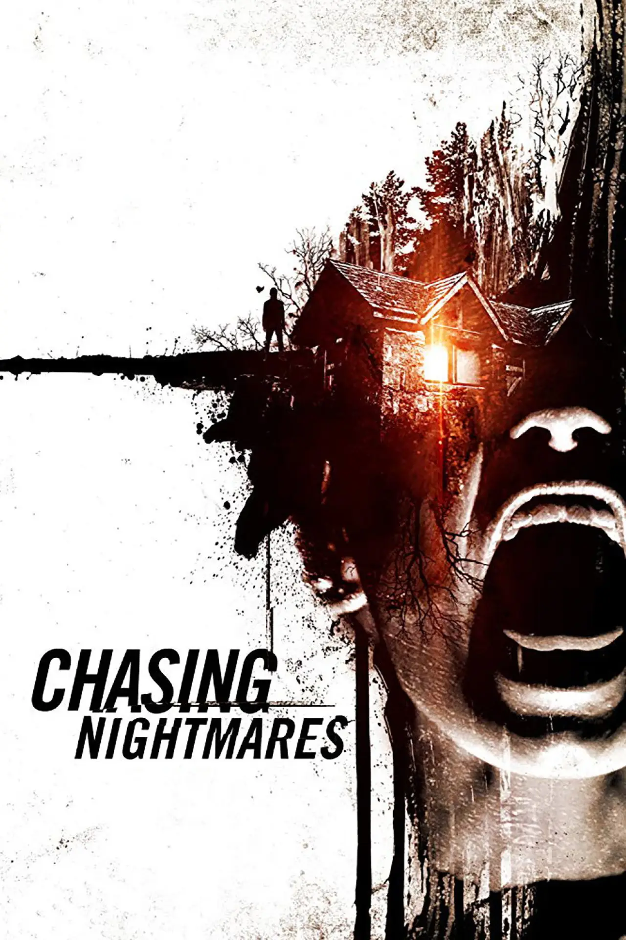 Постер к фильму "Chasing Nightmares"