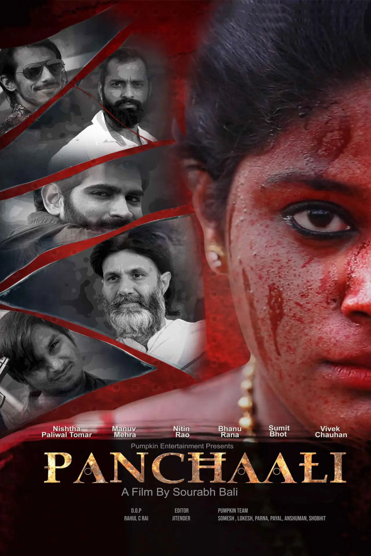 Постер к фильму "Panchaali"