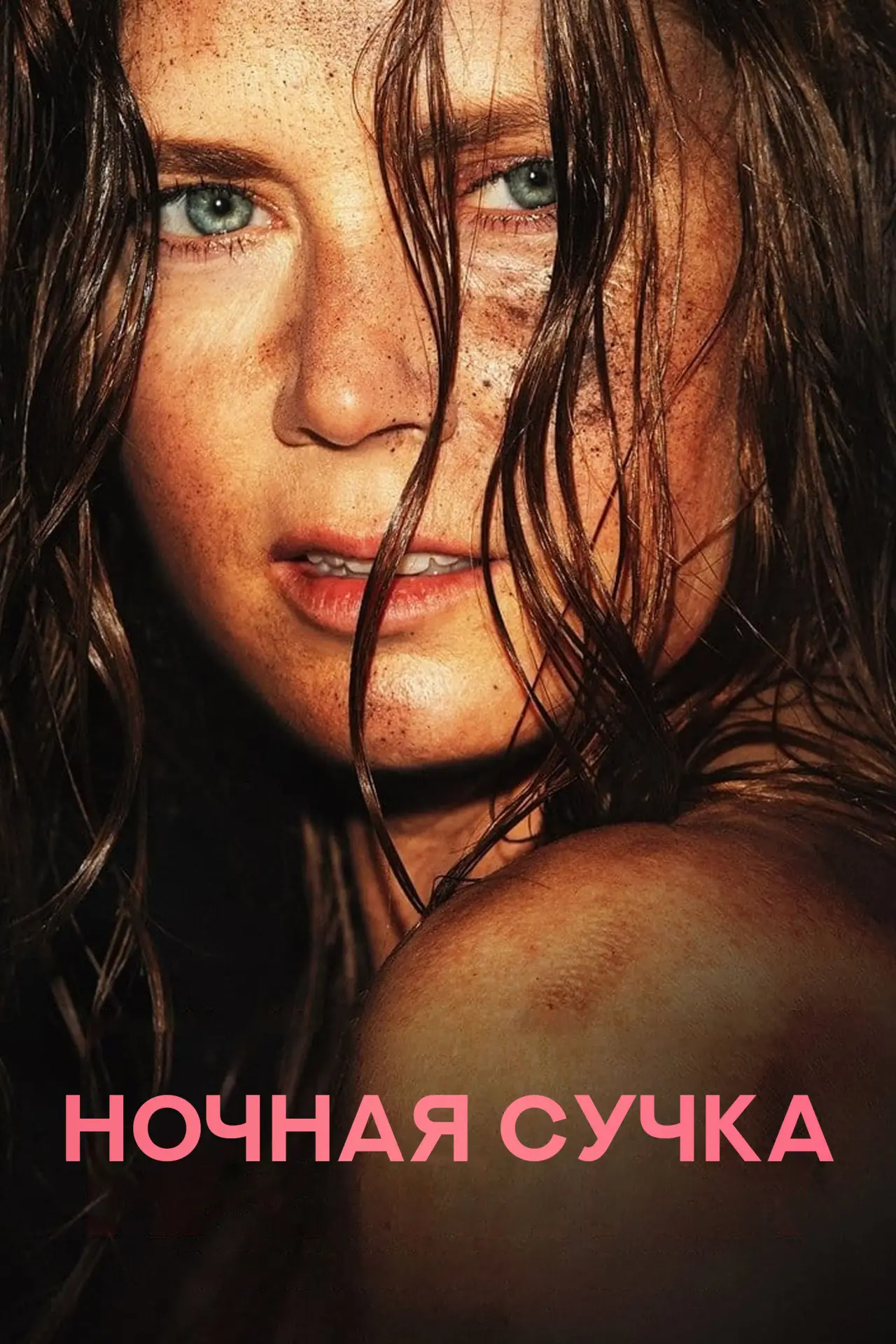 Постер к фильму "Ночная сучка"