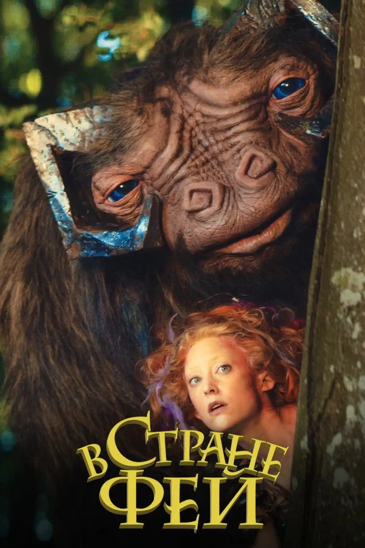 Постер к фильму "В стране фей"