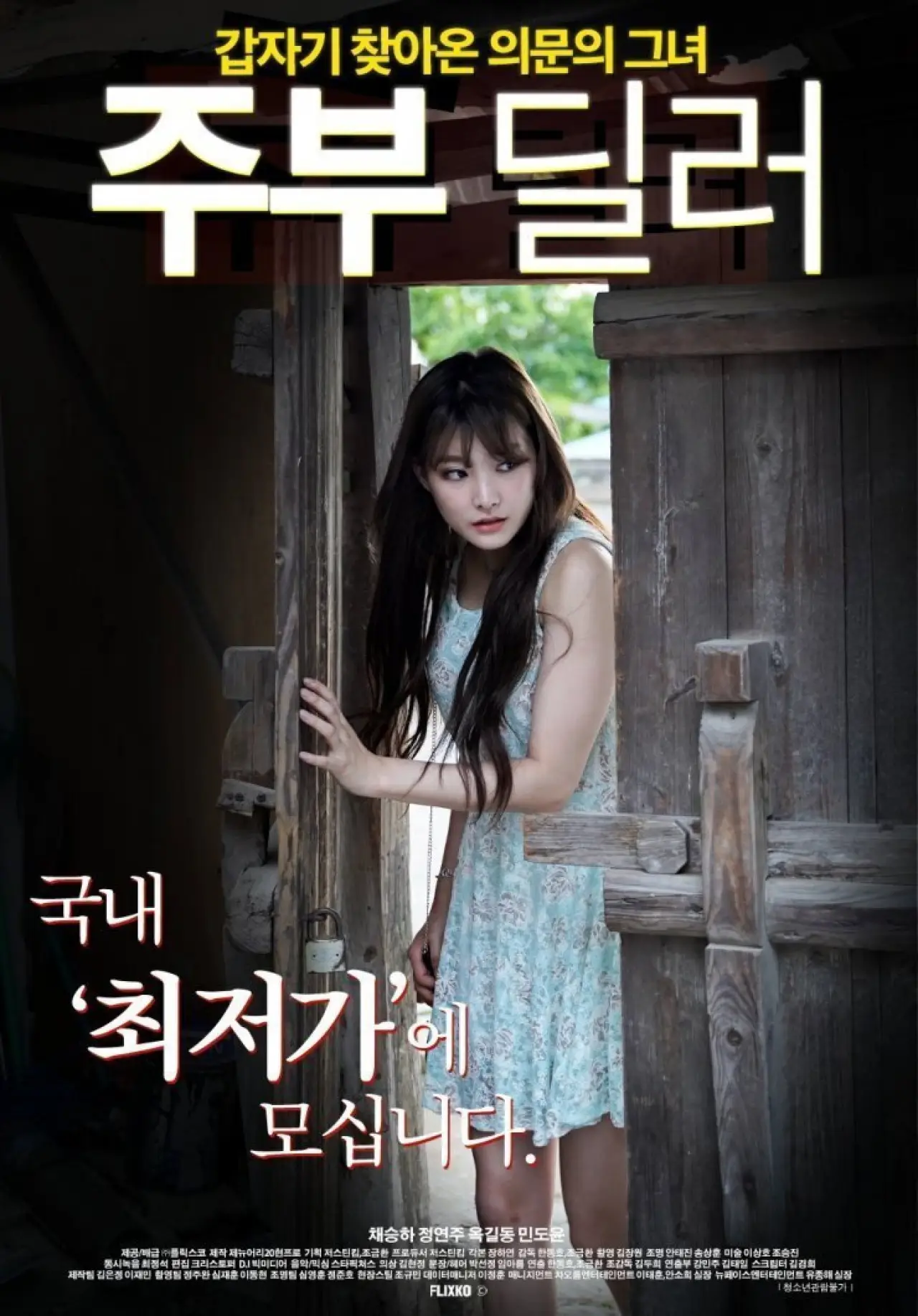 Постер к фильму "주부 딜러"