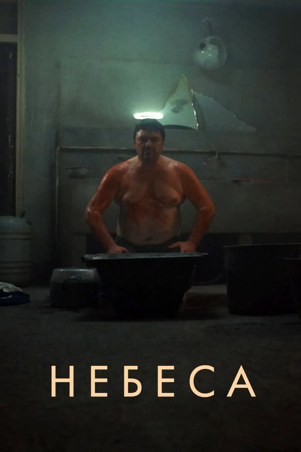 Постер к фильму "Небеса"