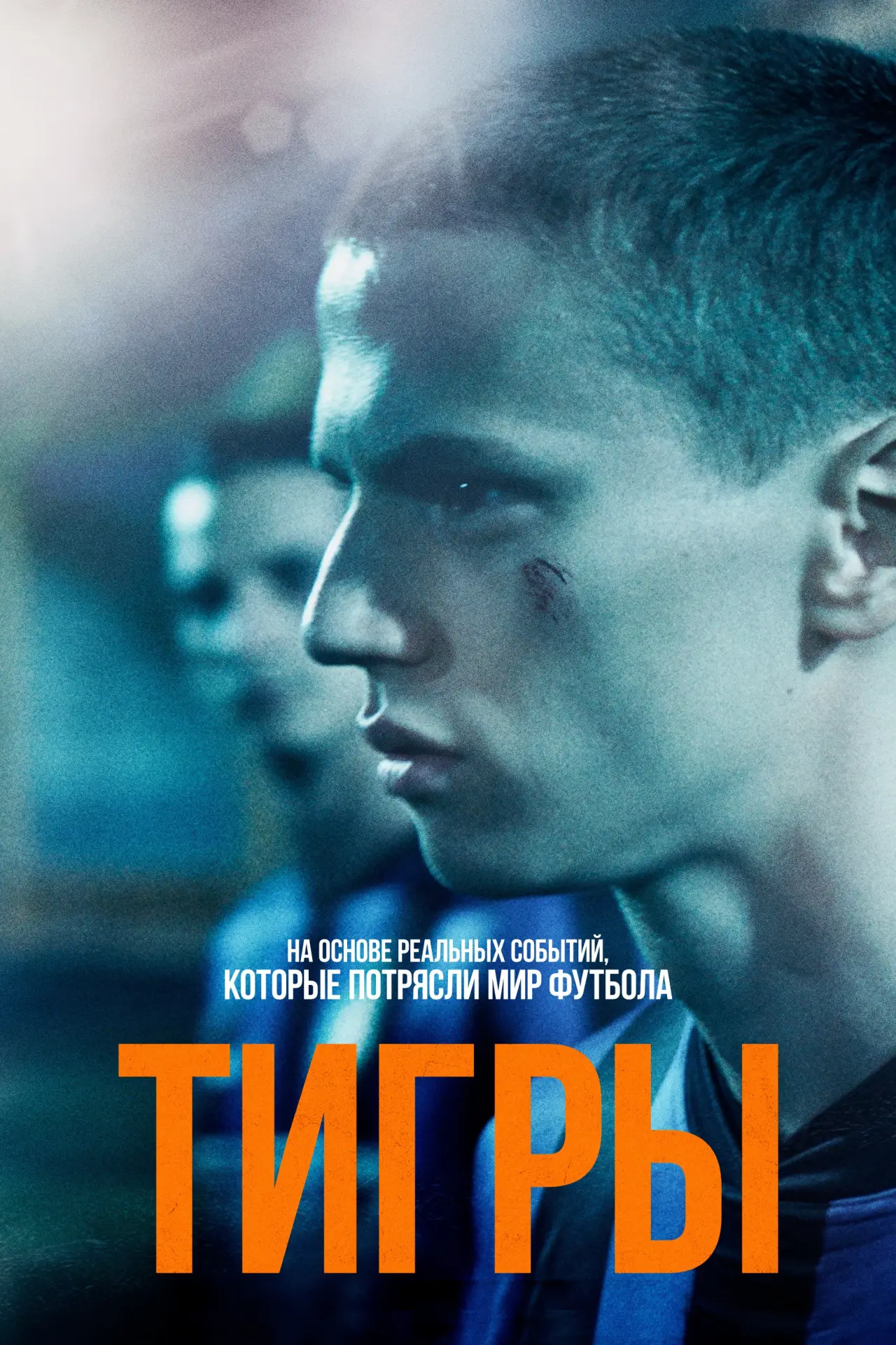 Постер к фильму "Тигры"