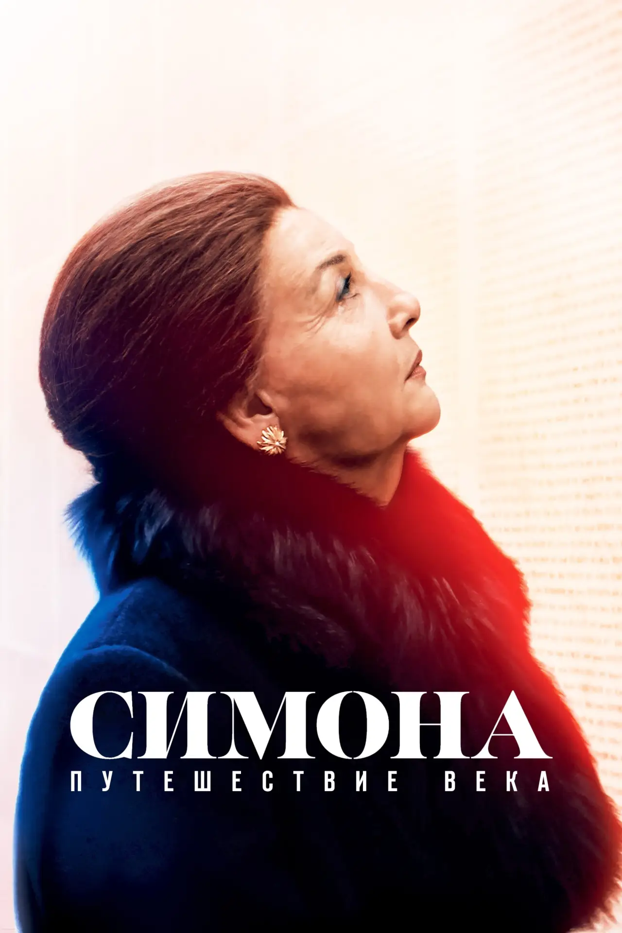 Постер к фильму "Симона: Путешествие века"