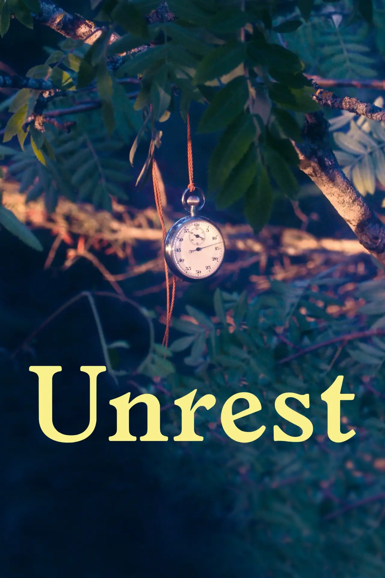 Постер к фильму "Unrueh"