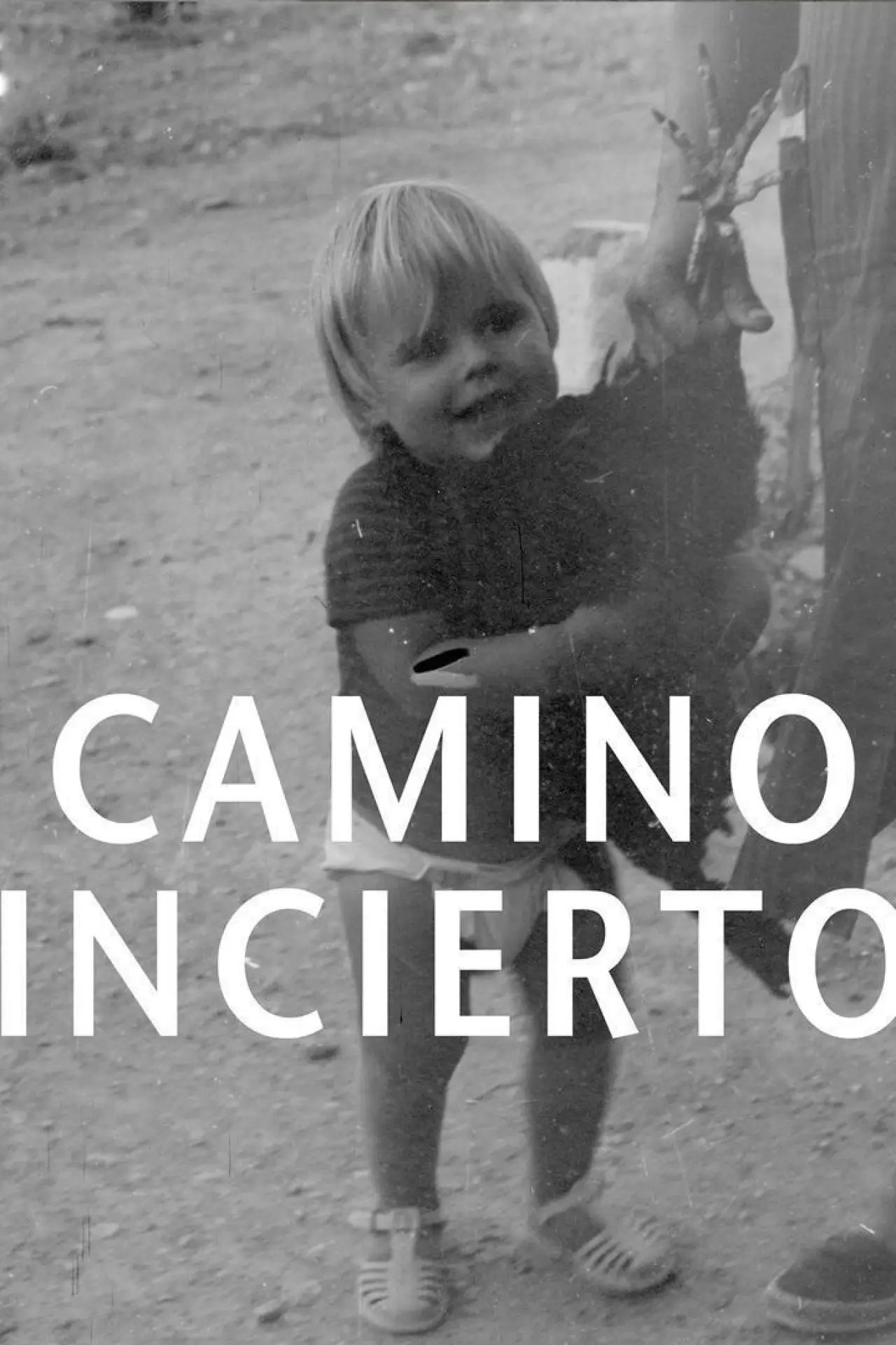 Постер к фильму "Camino incierto"