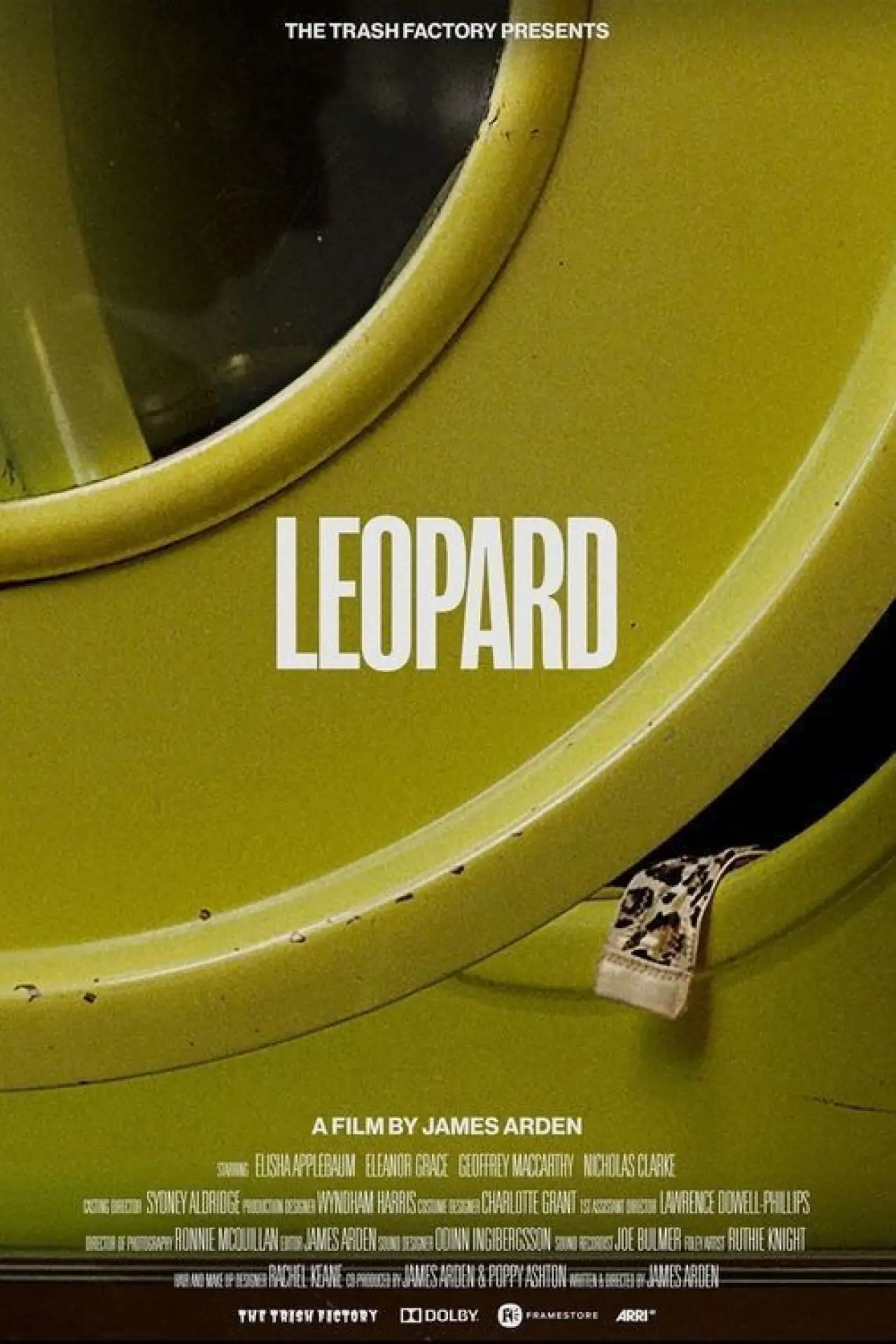 Постер к фильму "Leopard"