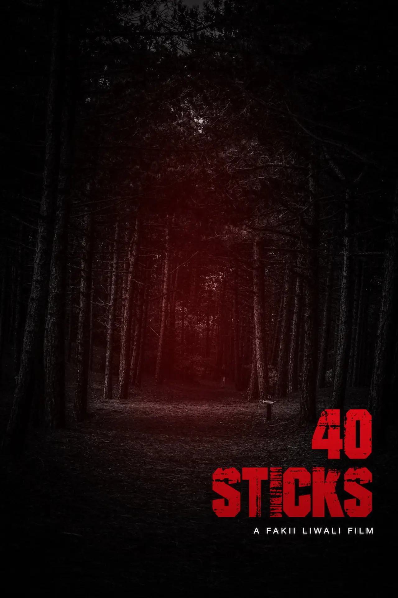 Постер к фильму "40 Sticks"