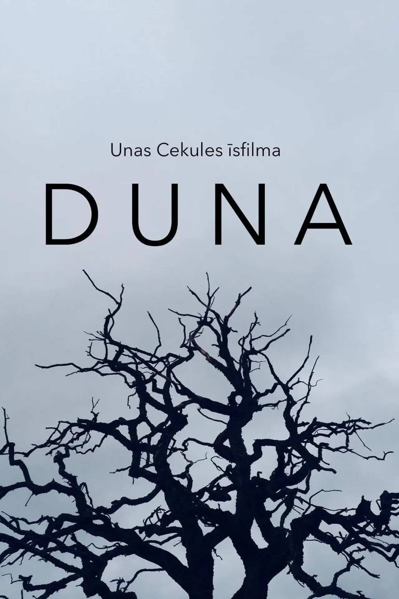 Постер к фильму "Duna"
