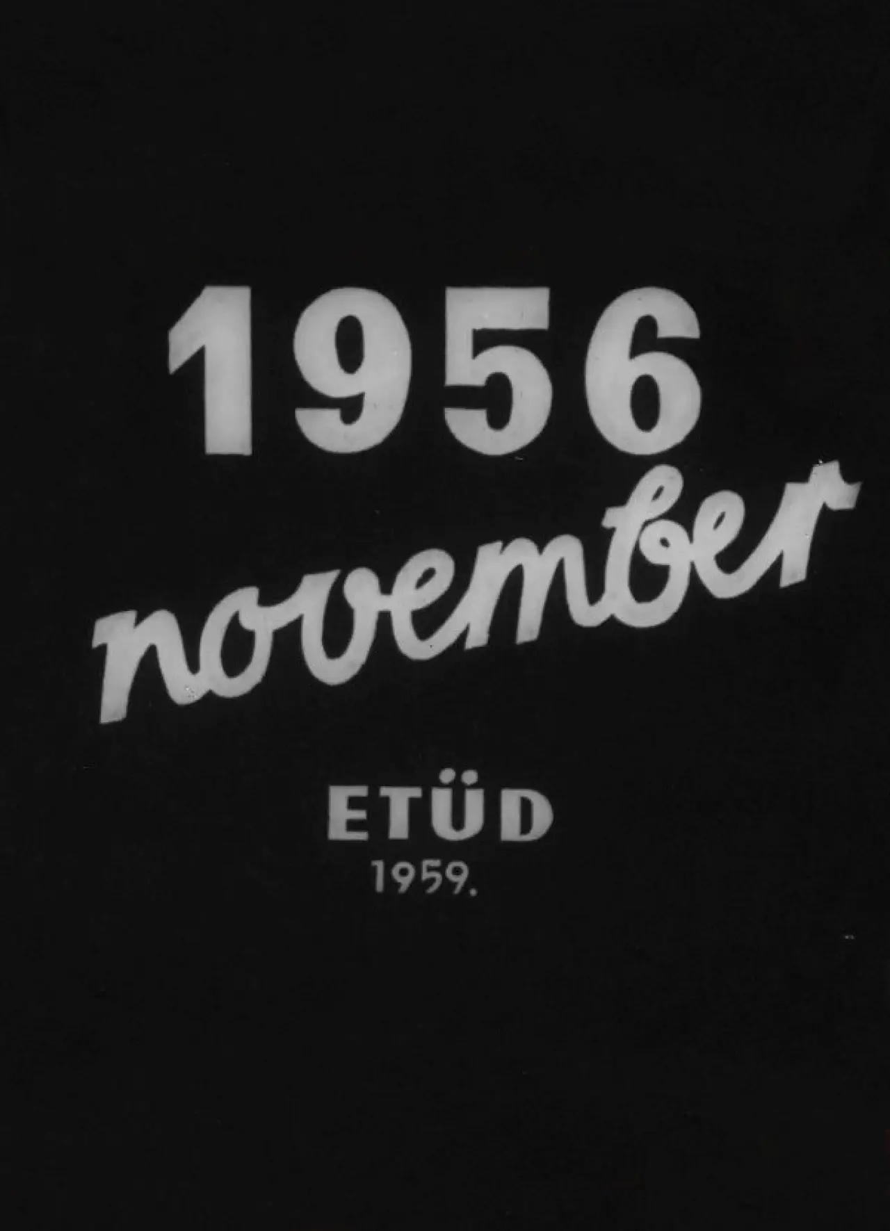 Постер к фильму "1956 november"