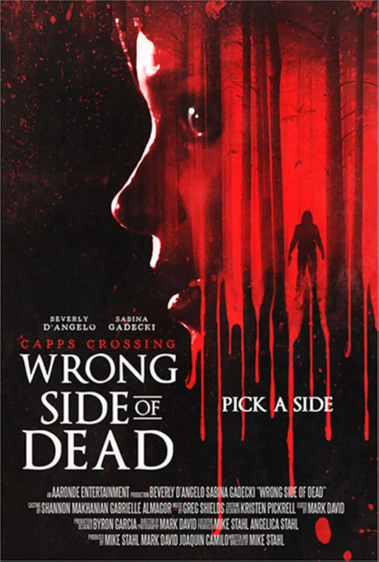 Постер к фильму "Capps Crossing: Wrong Side of Dead"