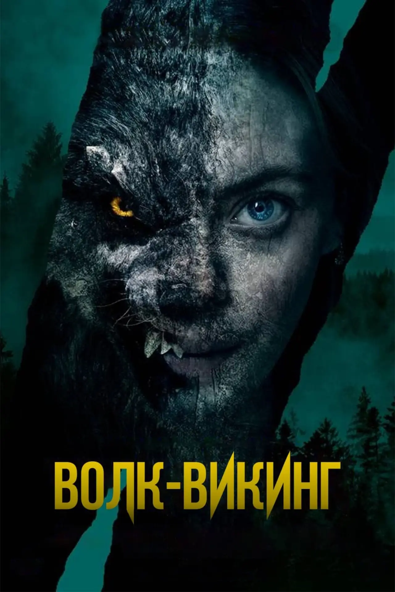 Постер к фильму "Волк-викинг"