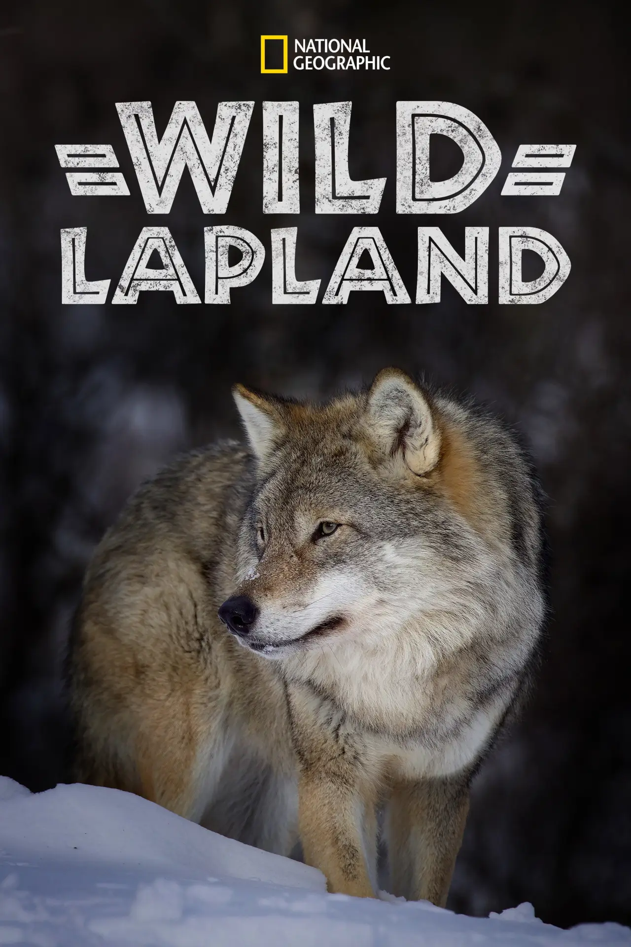 Постер к фильму "Wild Lapland"