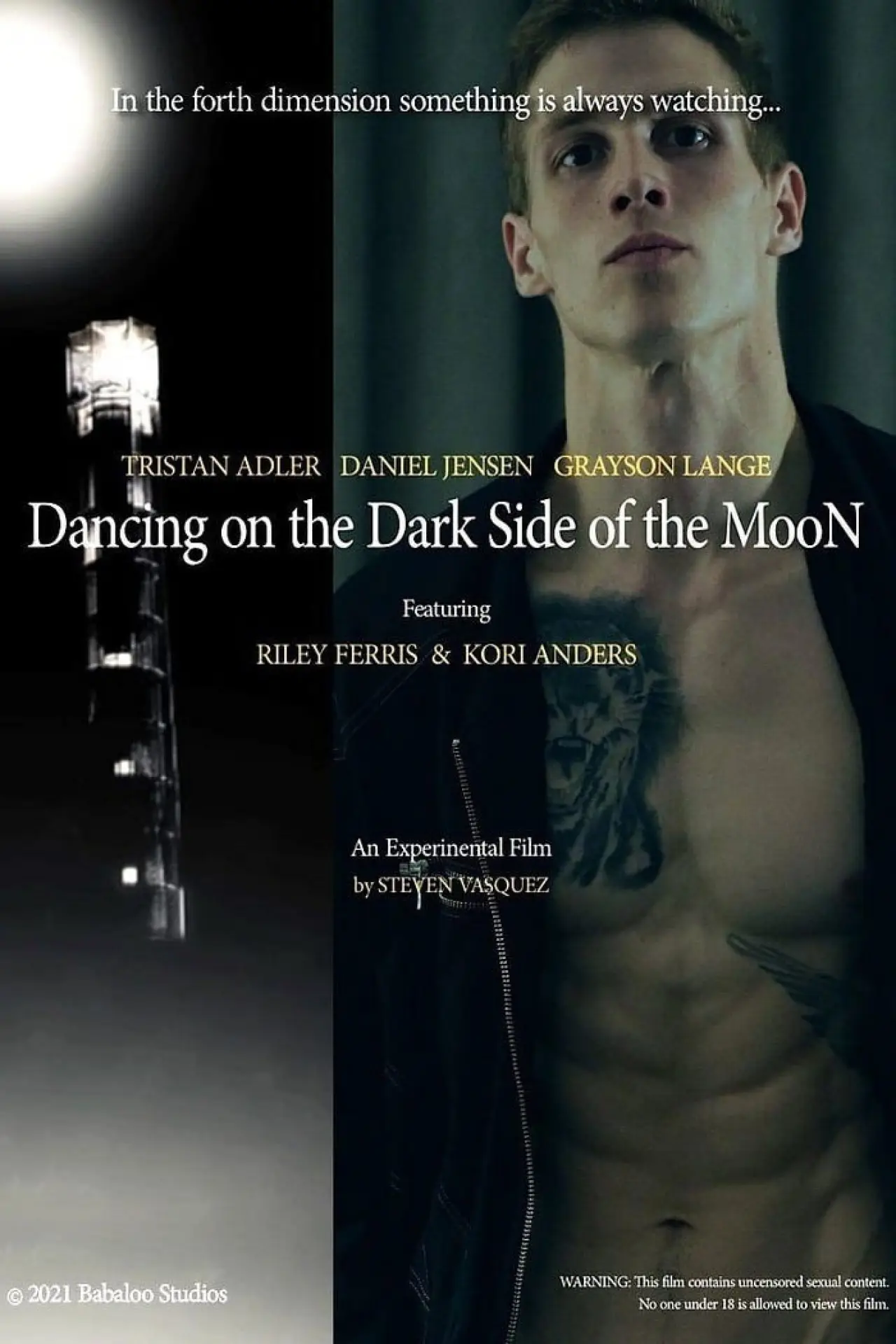 Постер к фильму "Dancing on the Dark Side of the Moon"