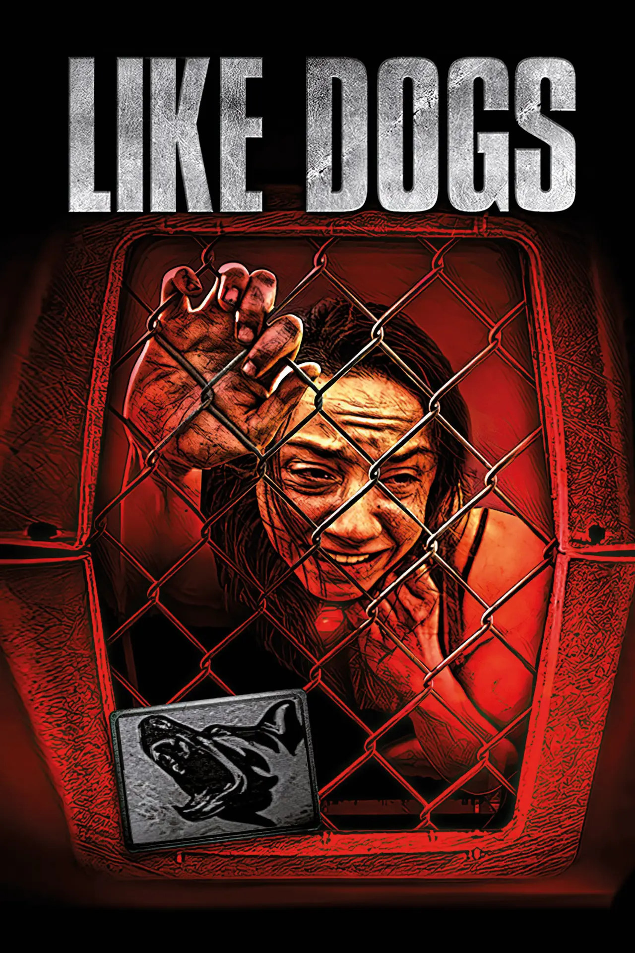 Постер к фильму "Like Dogs"